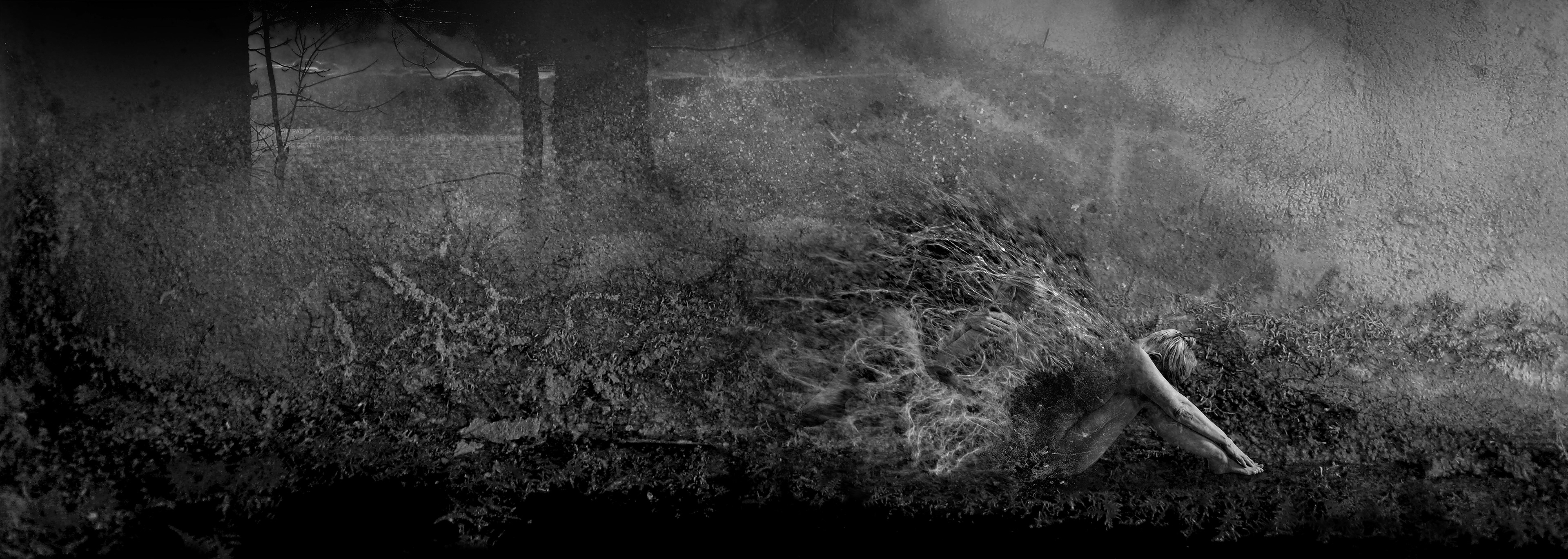 J’écris lentement sur le lichen no 18