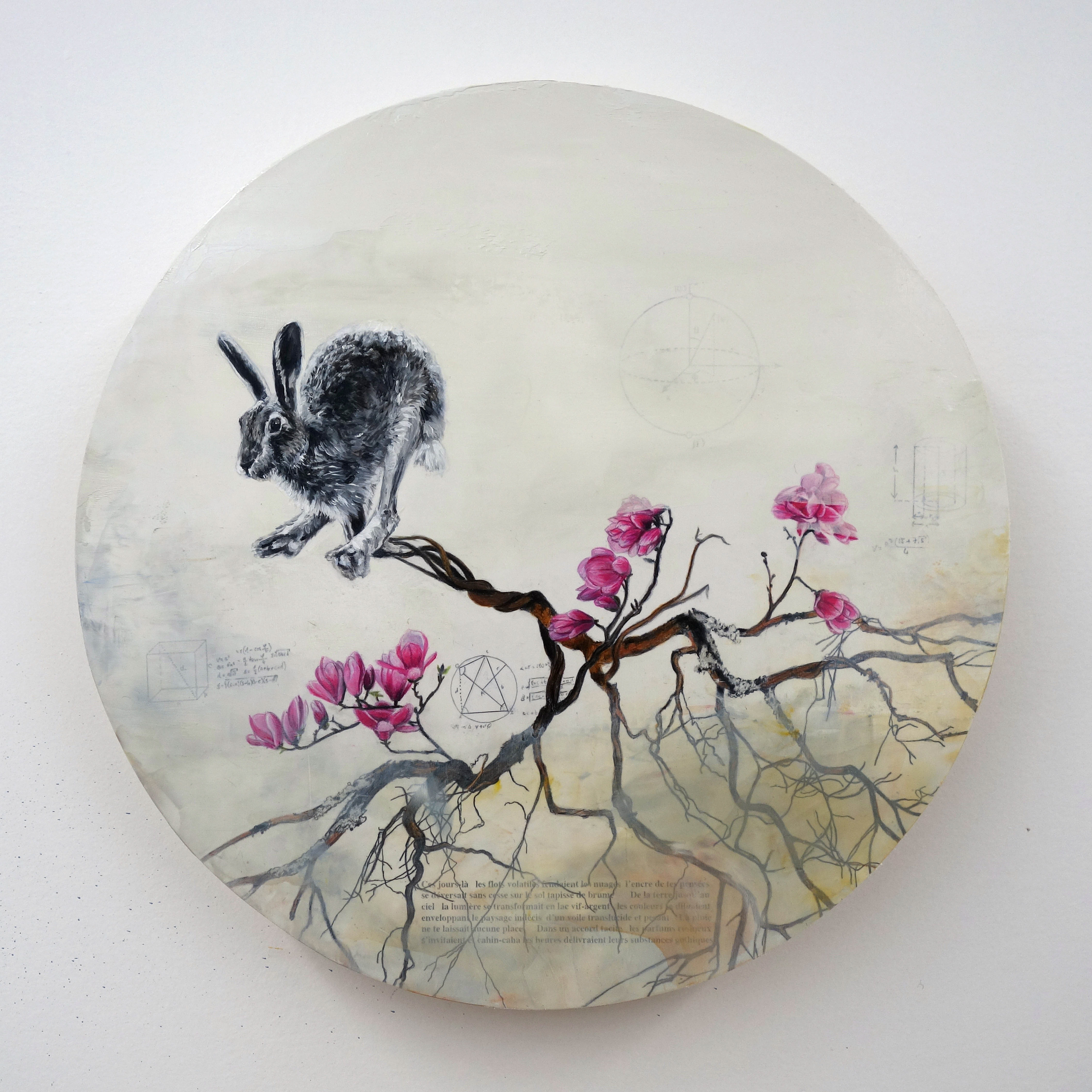 Constellation du lièvre no 16