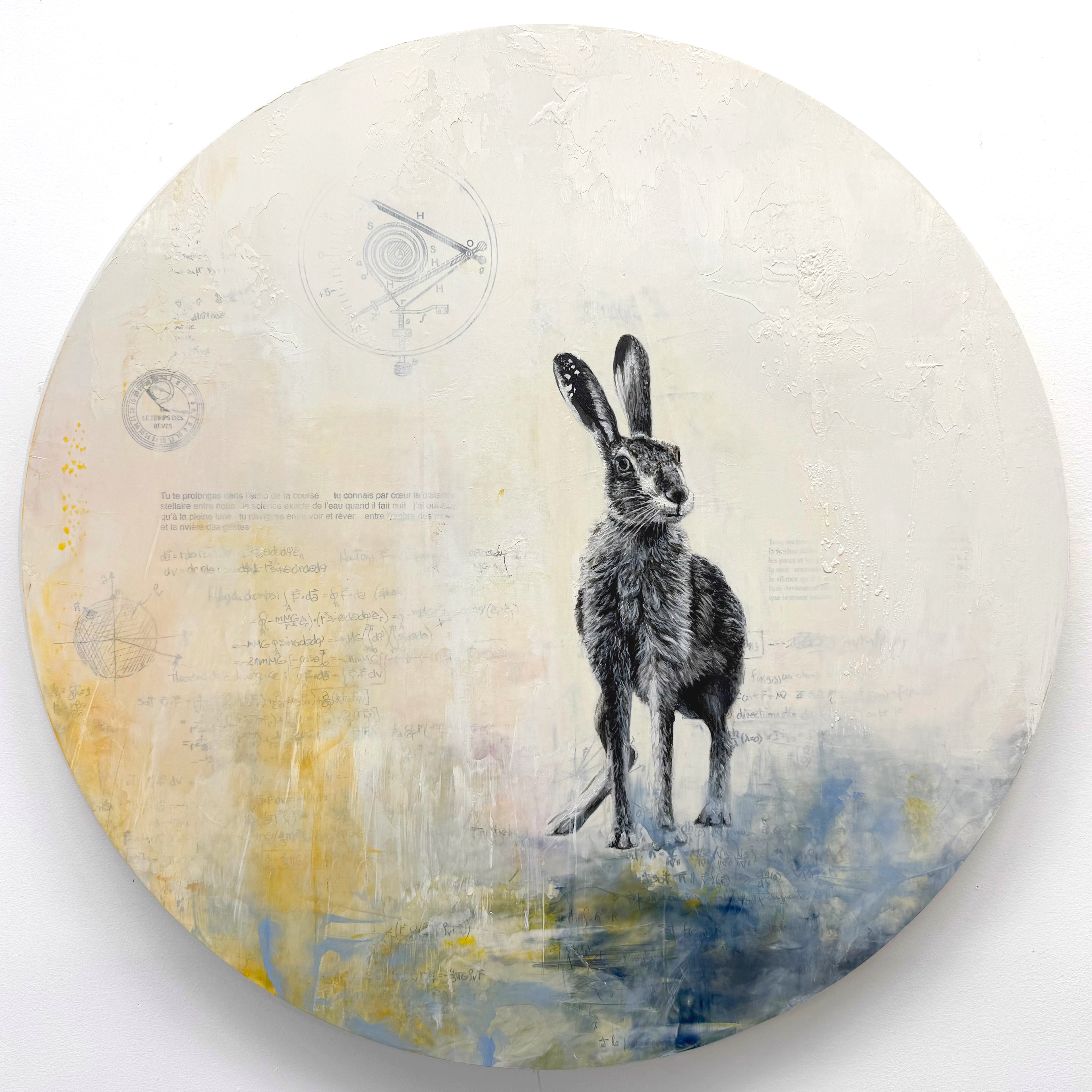 Constellation du lièvre no 34