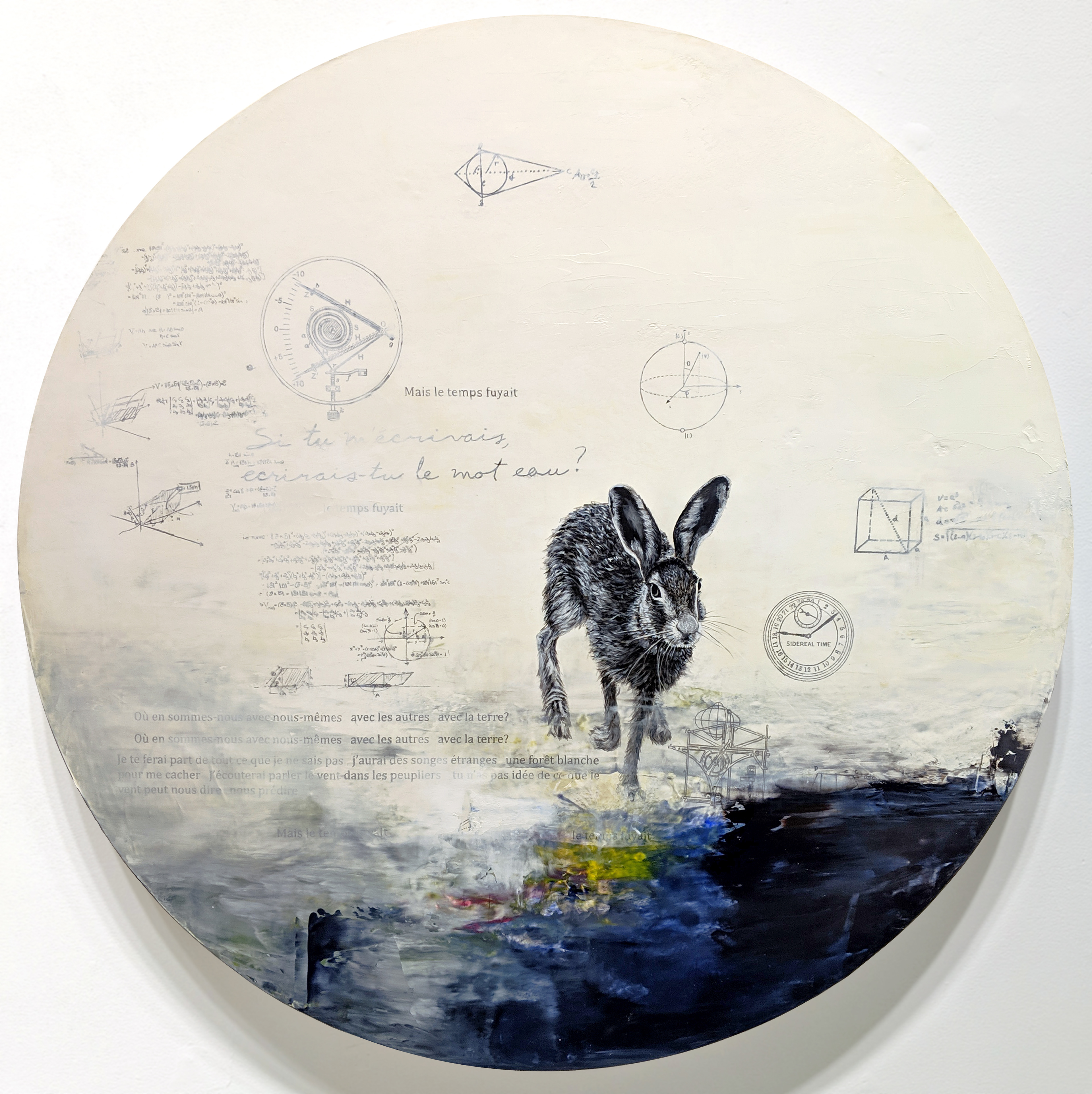 Constellation du lièvre no 4