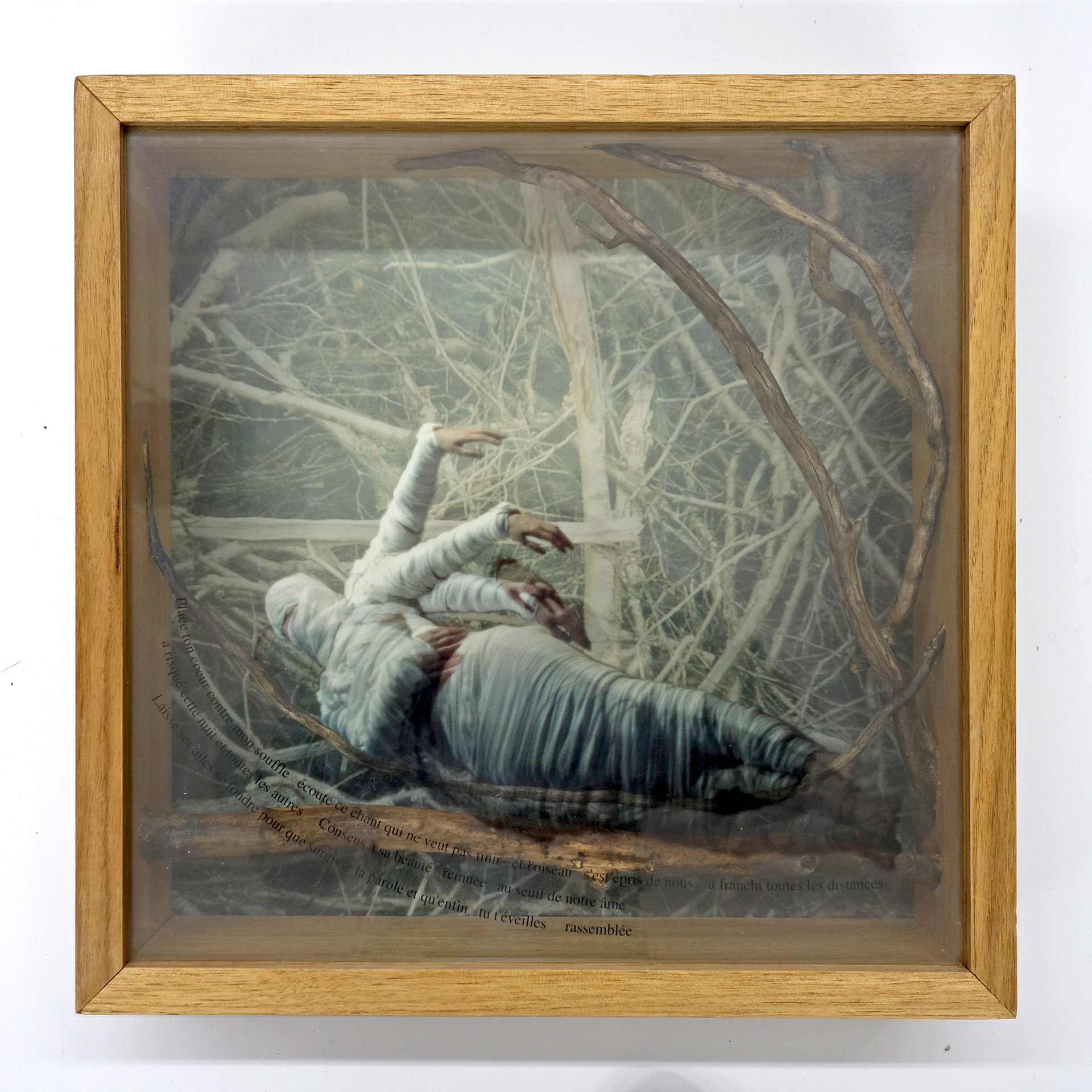 Et l'oiseau s'est épris de nousUne traversée no 1