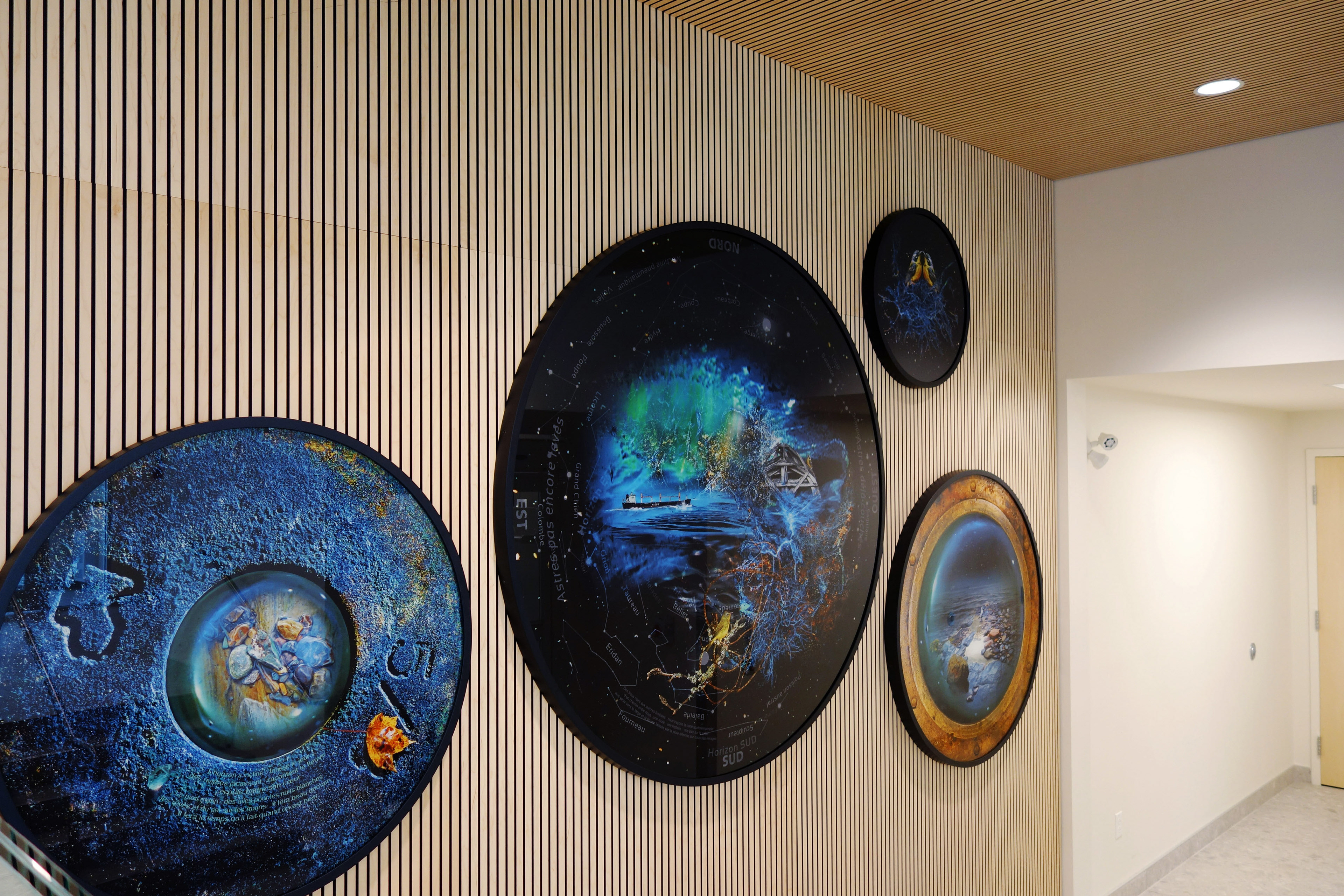 Constellation Aurora boréalis 