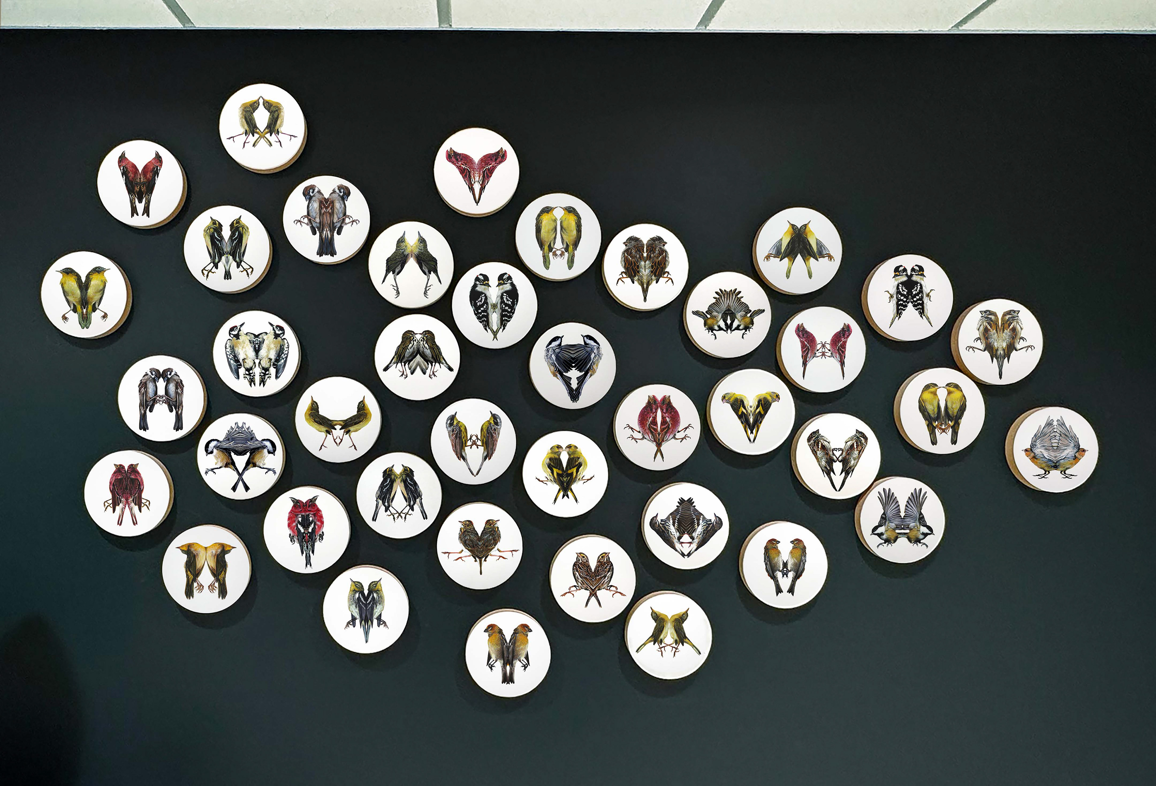 En exposition-corpus Mimèsis