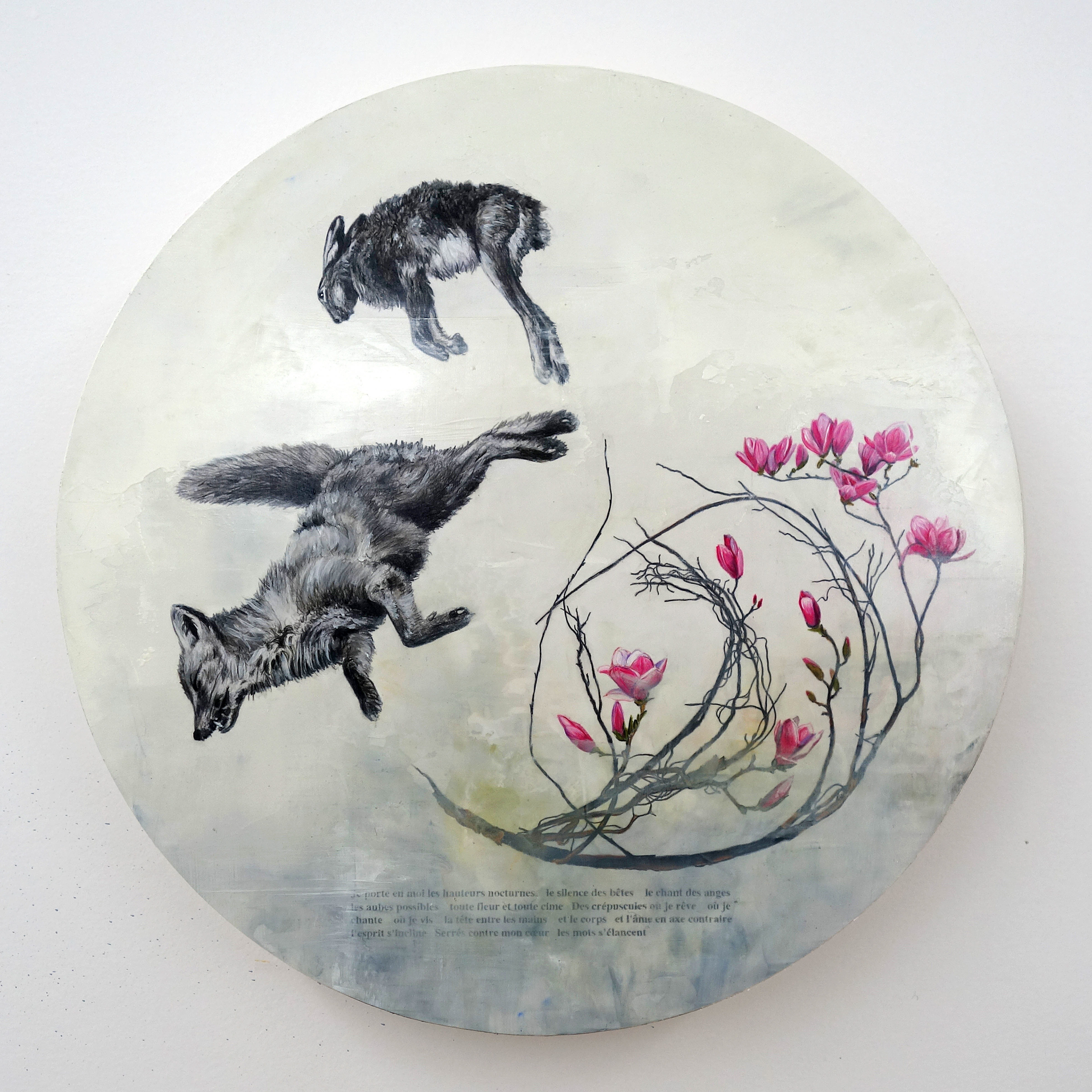 Constellation du lièvre no 18