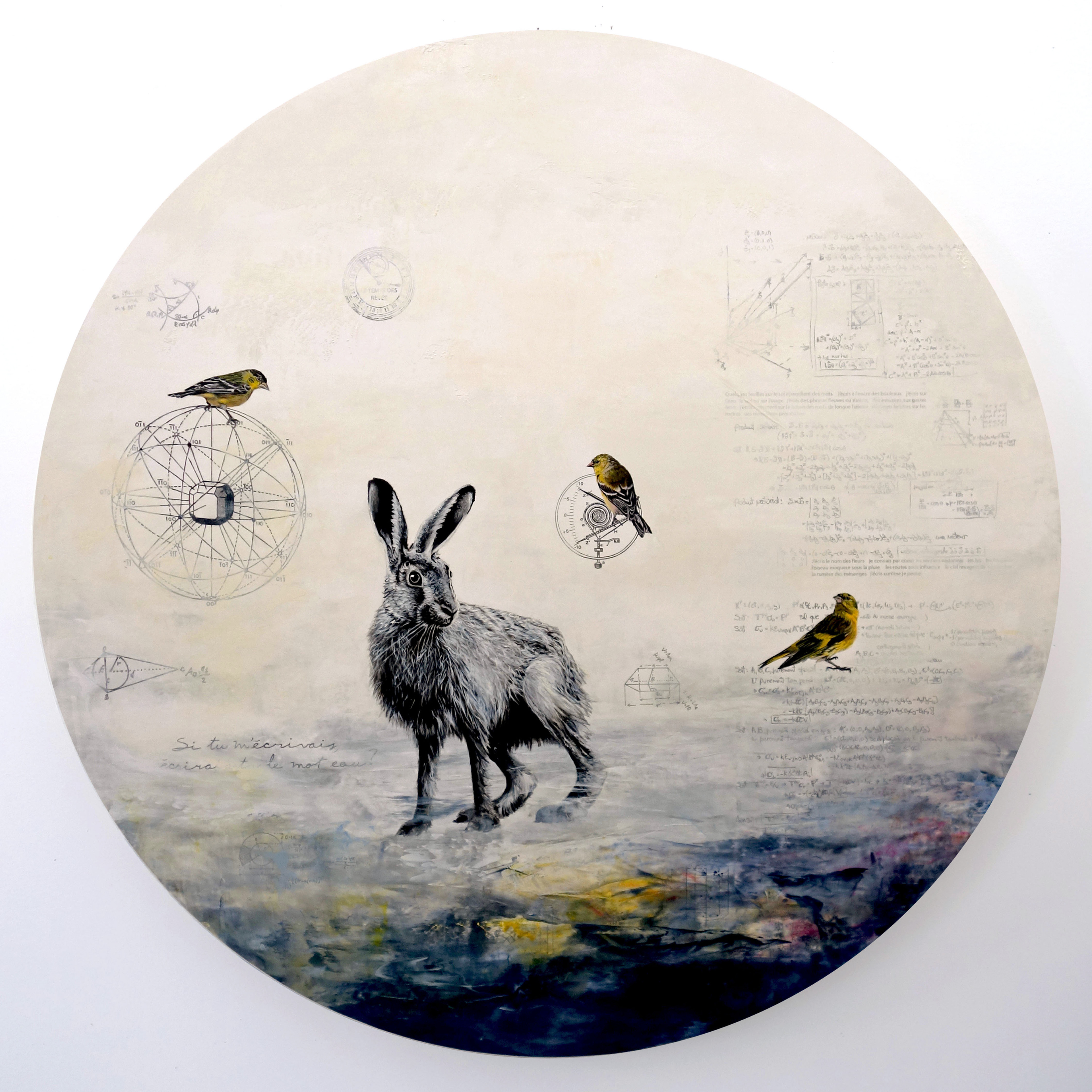 Constellation du lièvre no 31