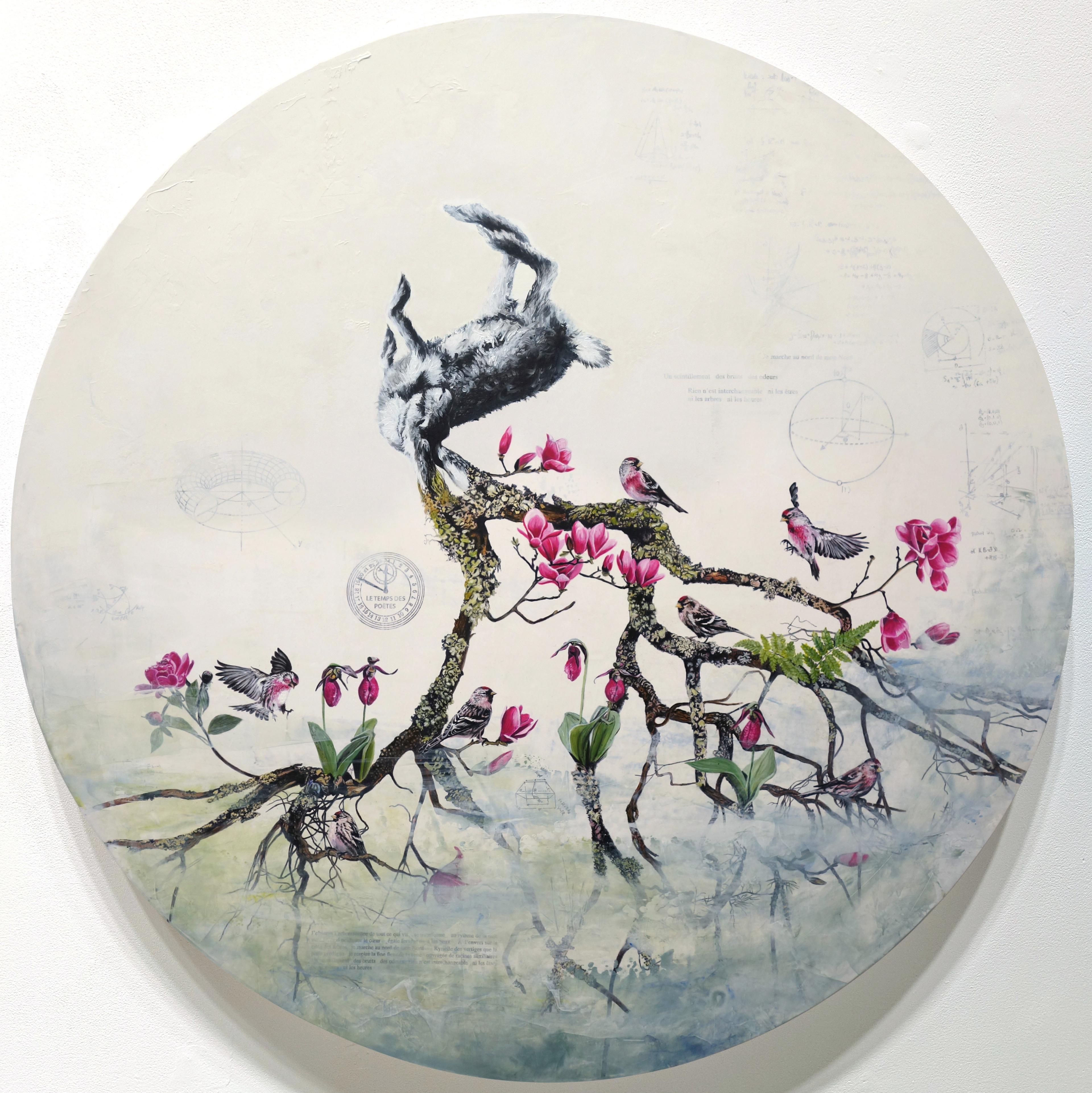 Constellation du lièvre no 33