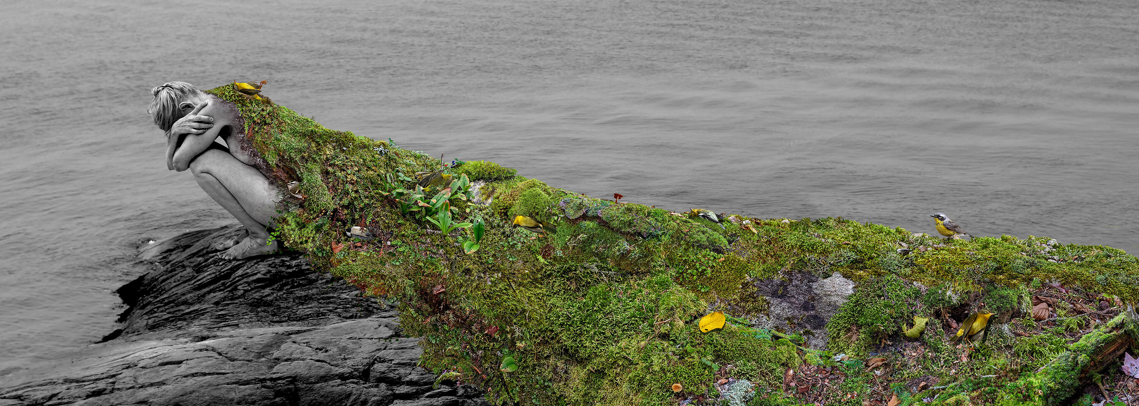 J’écris lentement sur le lichen no 1