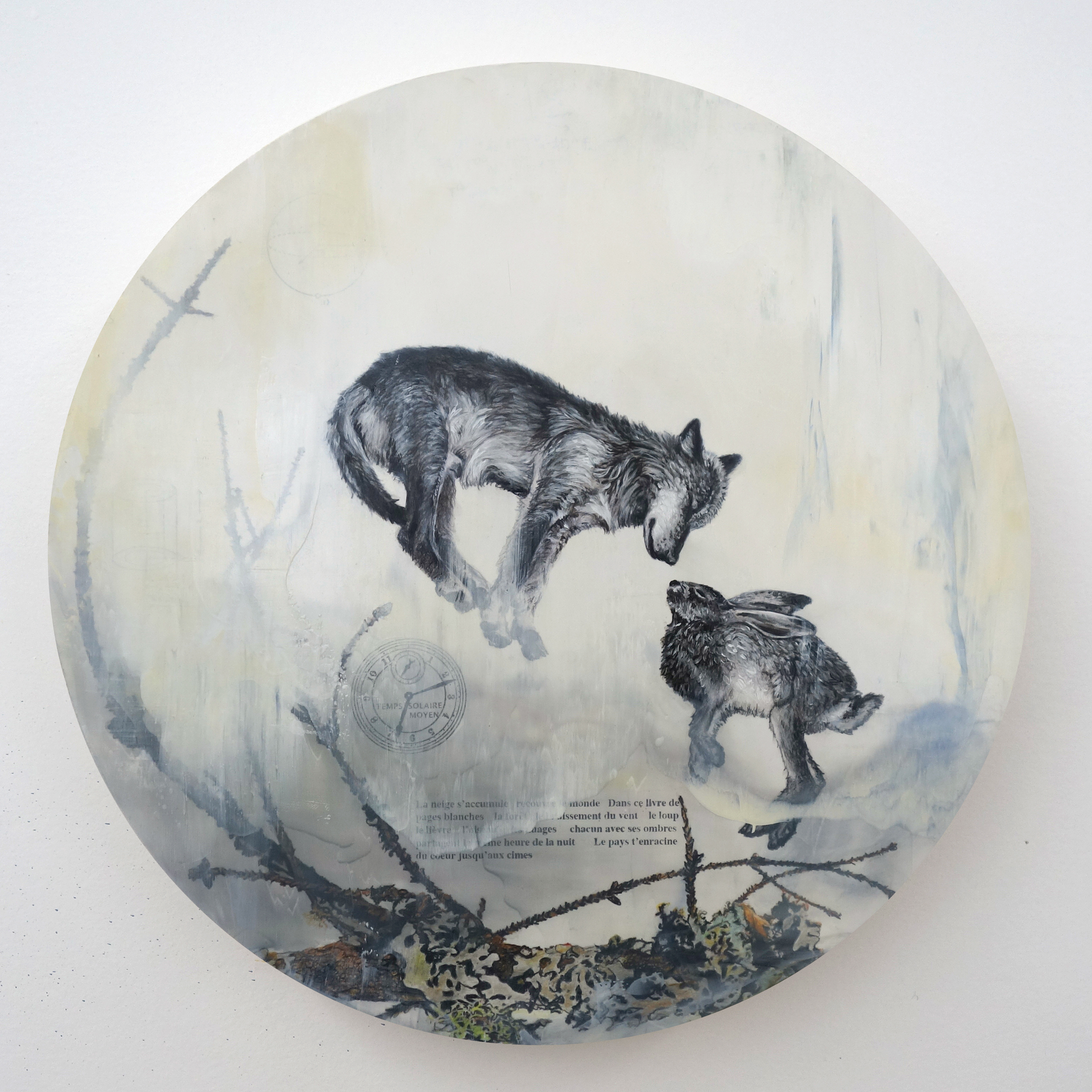 Constellation du lièvre no 24