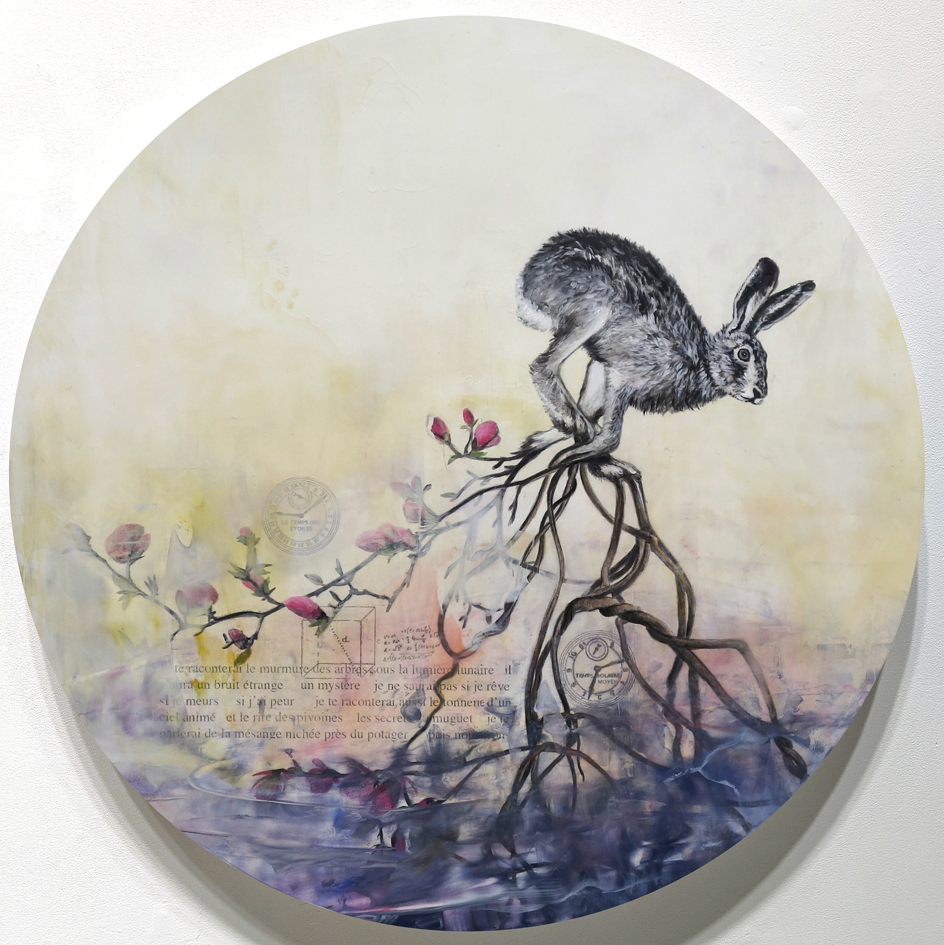 Constellation du lièvre no 10