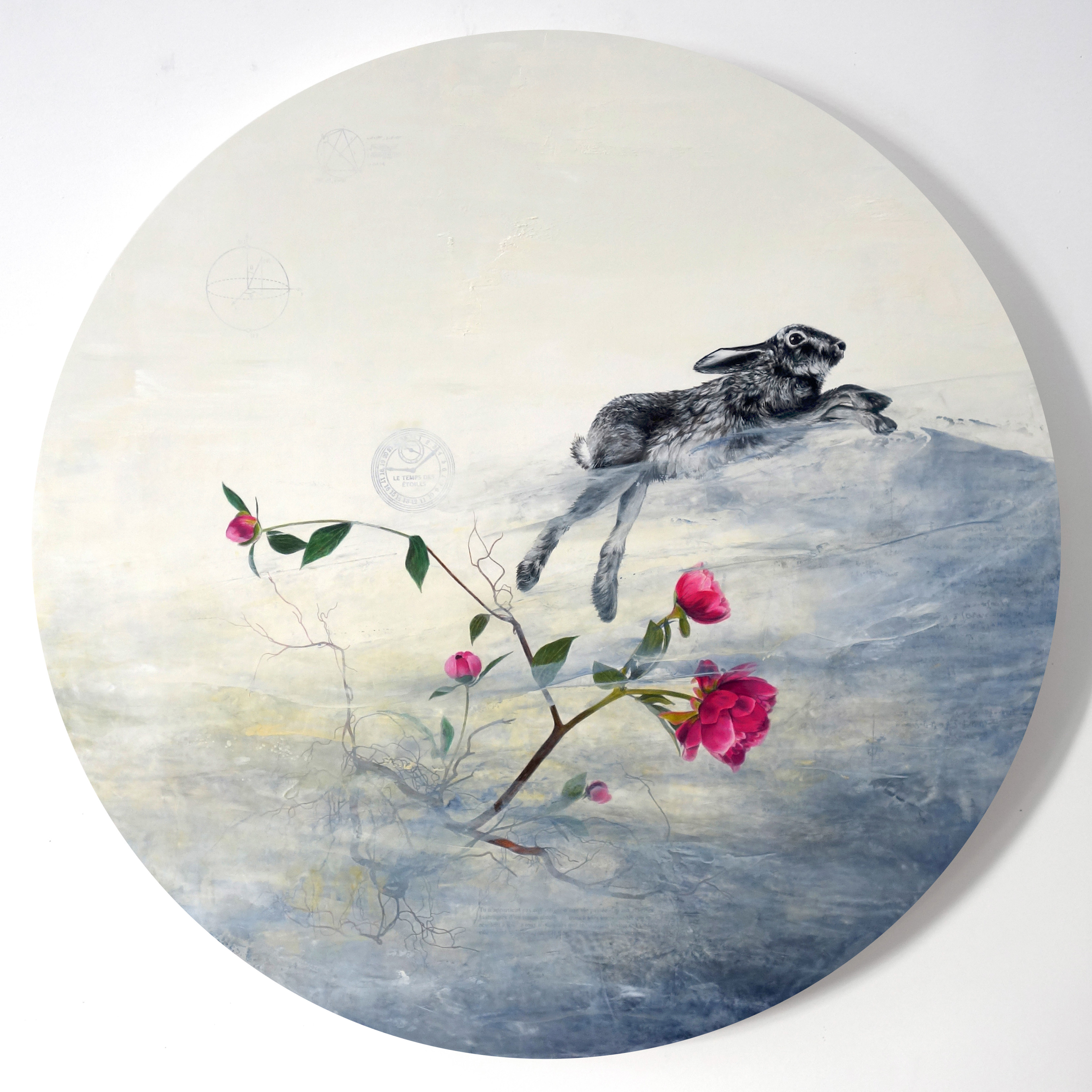 Constellation du lièvre no 29