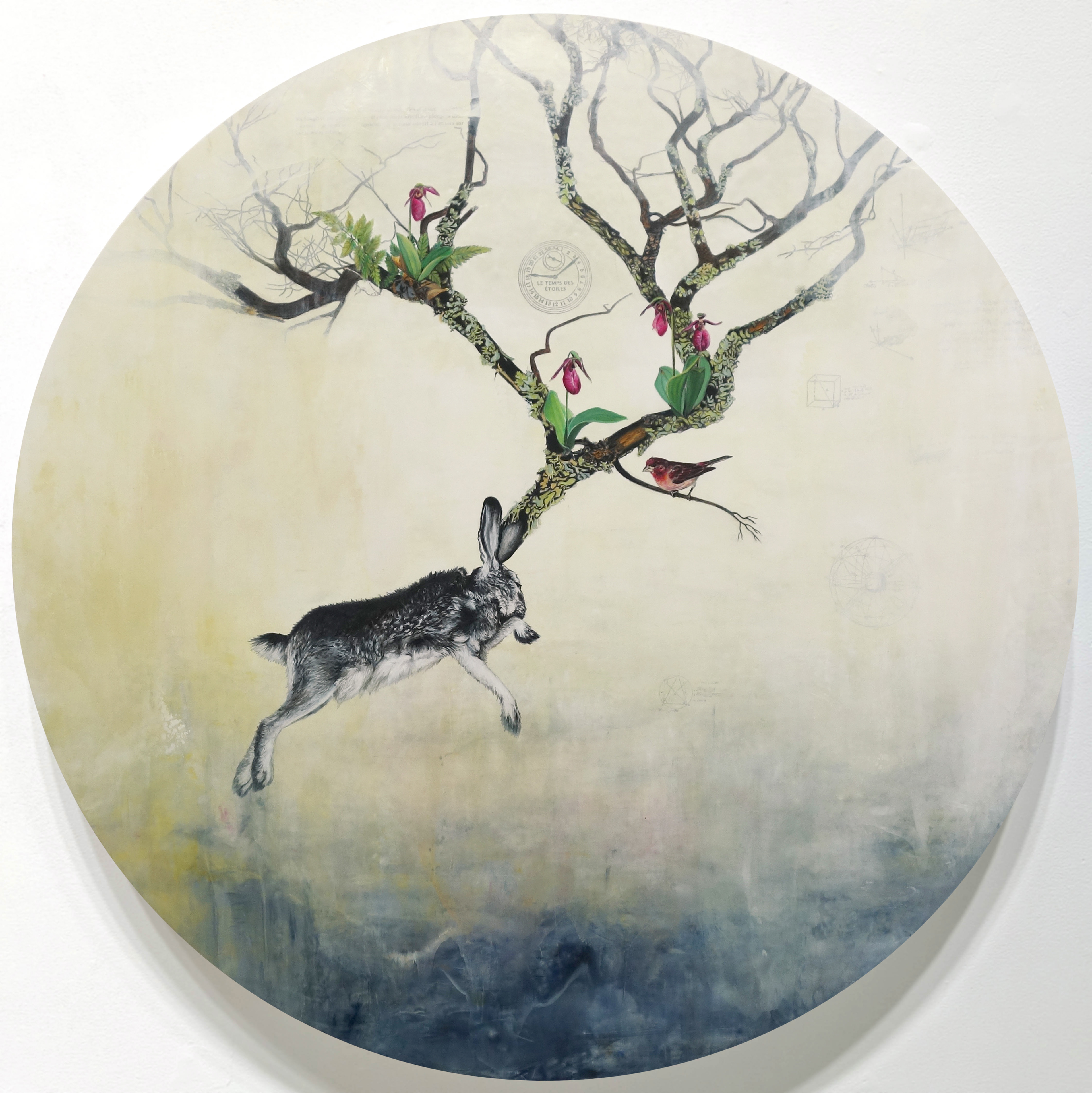 Constellation du lièvre no 30
