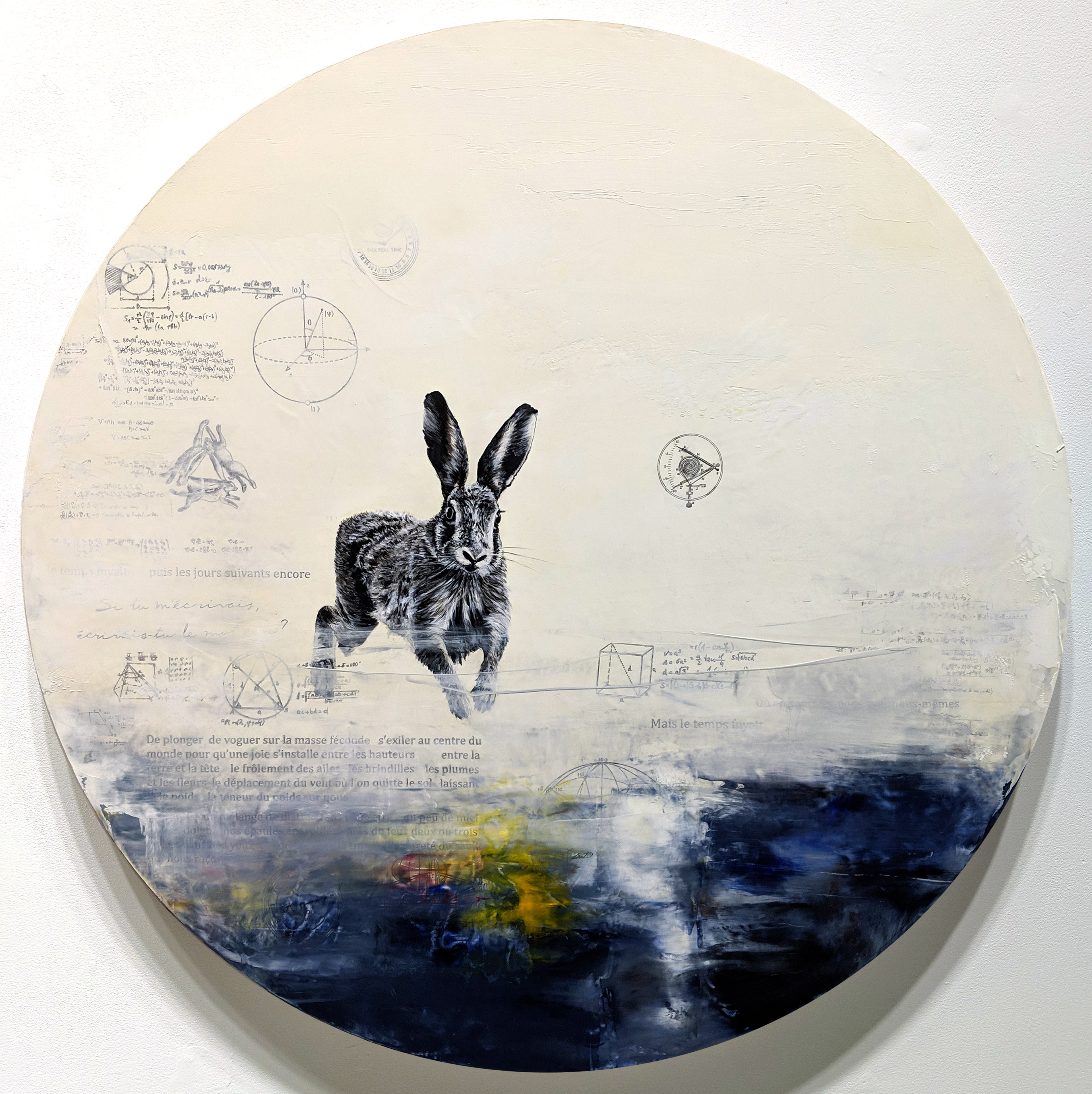 Constellation du lièvre no 5