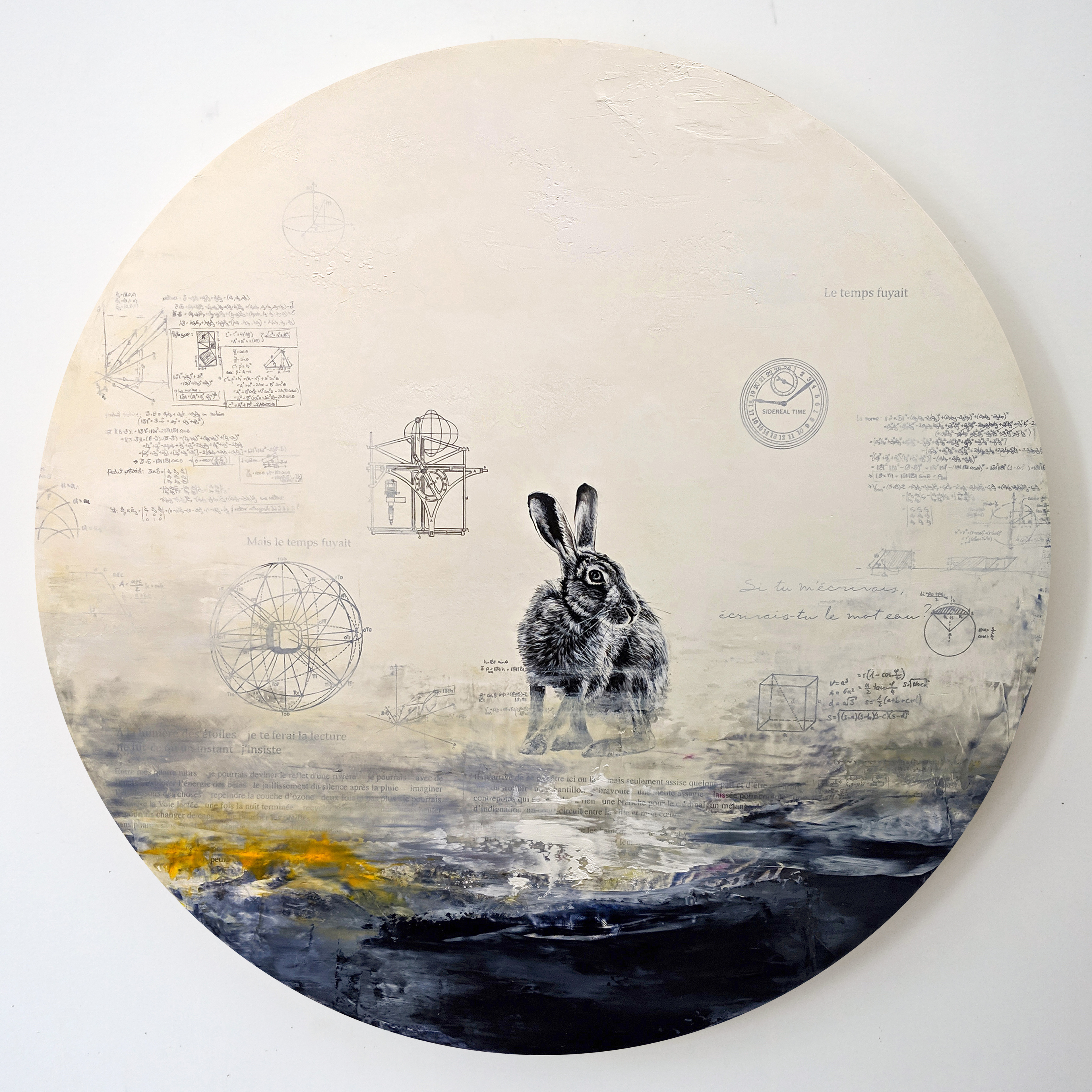 Constellation du lièvre no 6