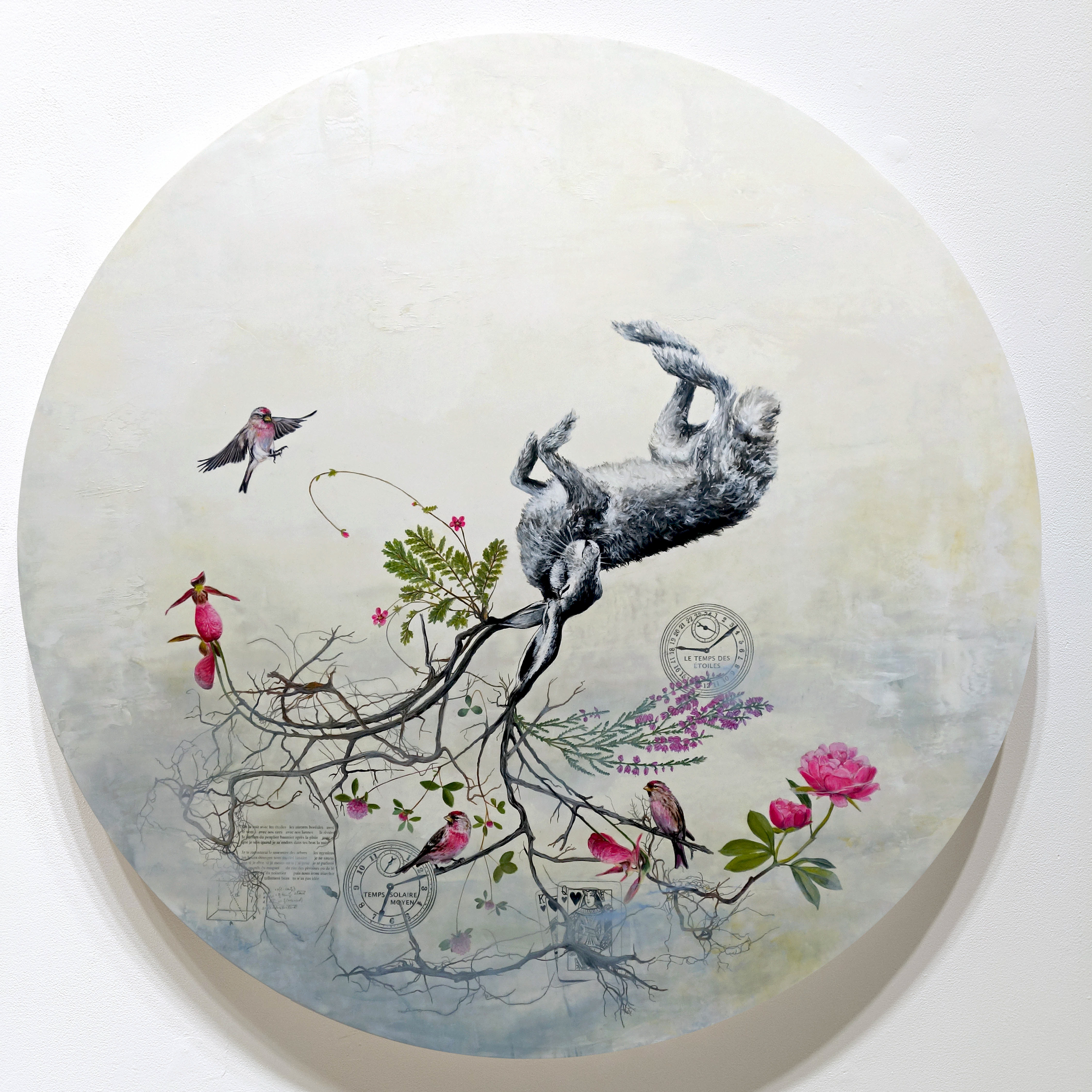 Constellation du lièvre no 8