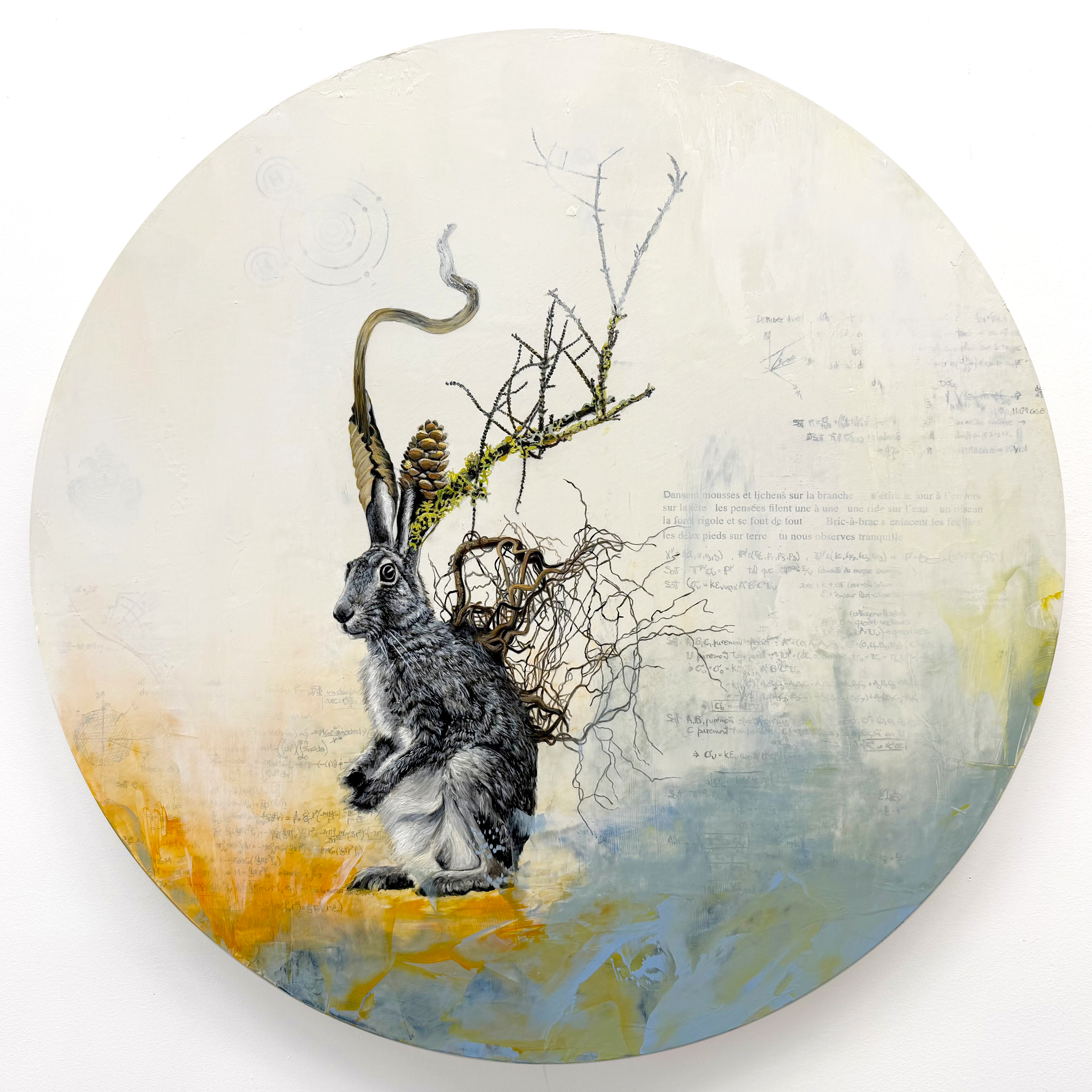 Constellation du lièvre no 35