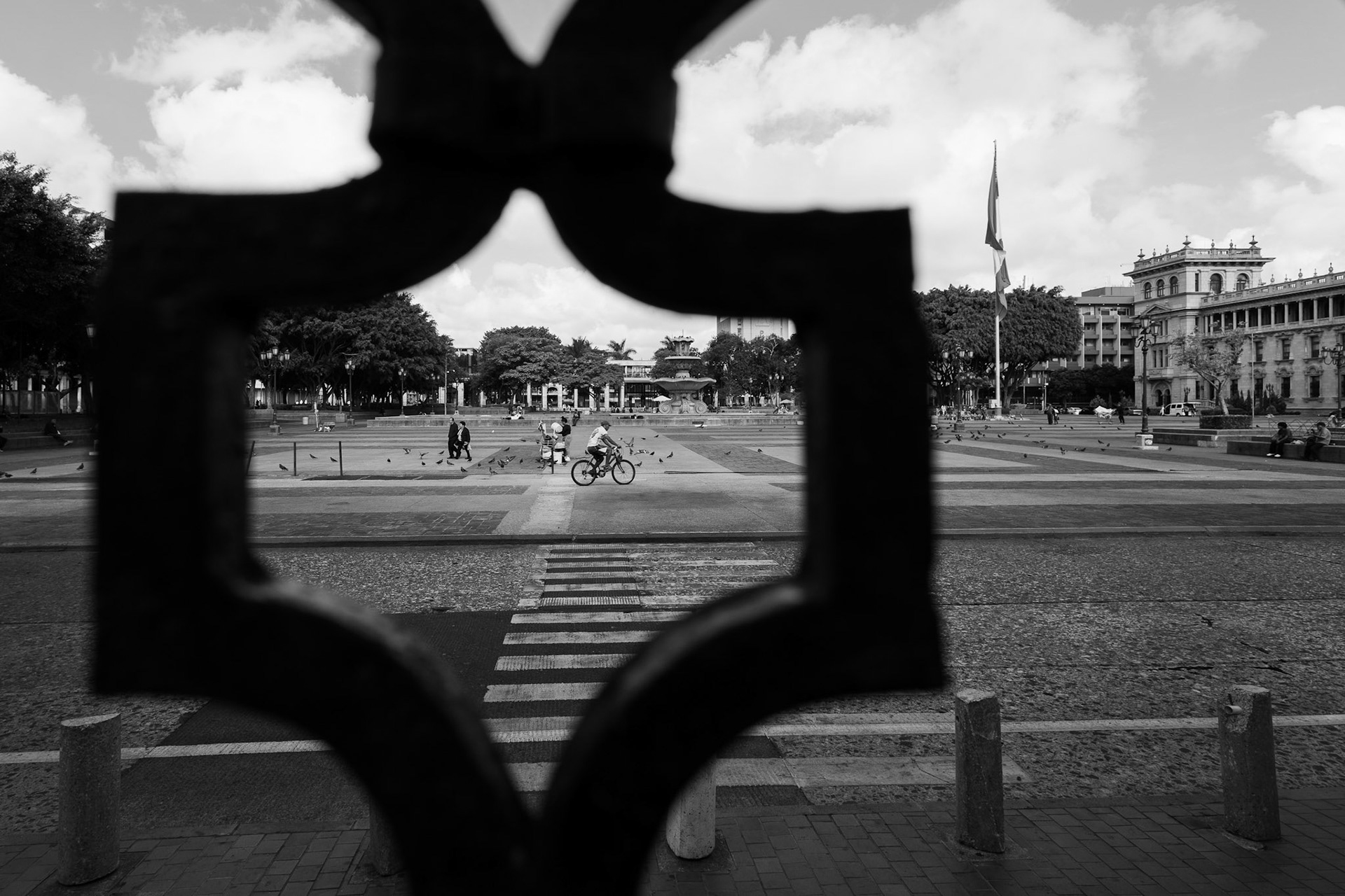 Parque Central desde Catedral