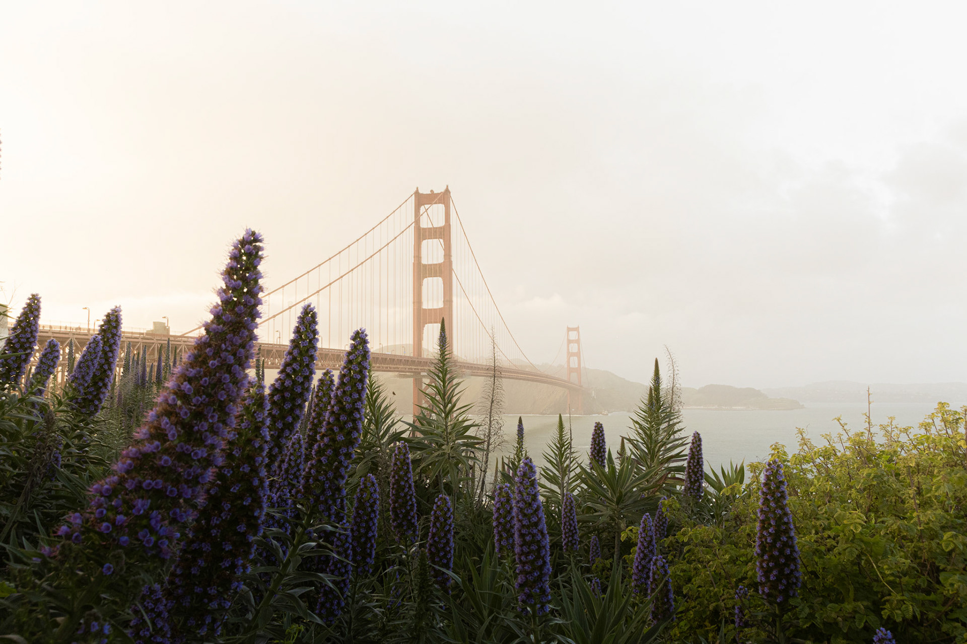 Sunset en el Golden Gate