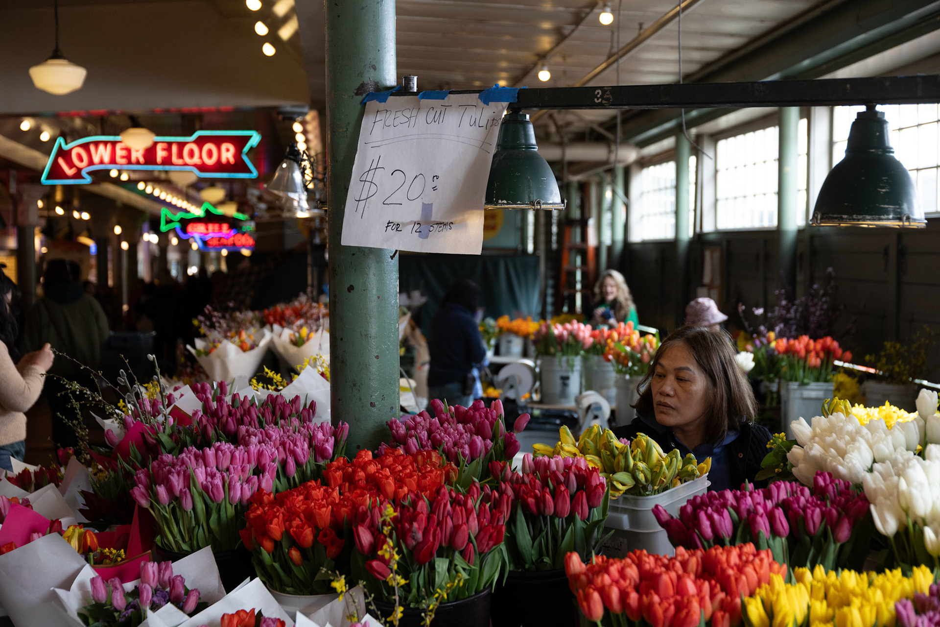 Tulipanes