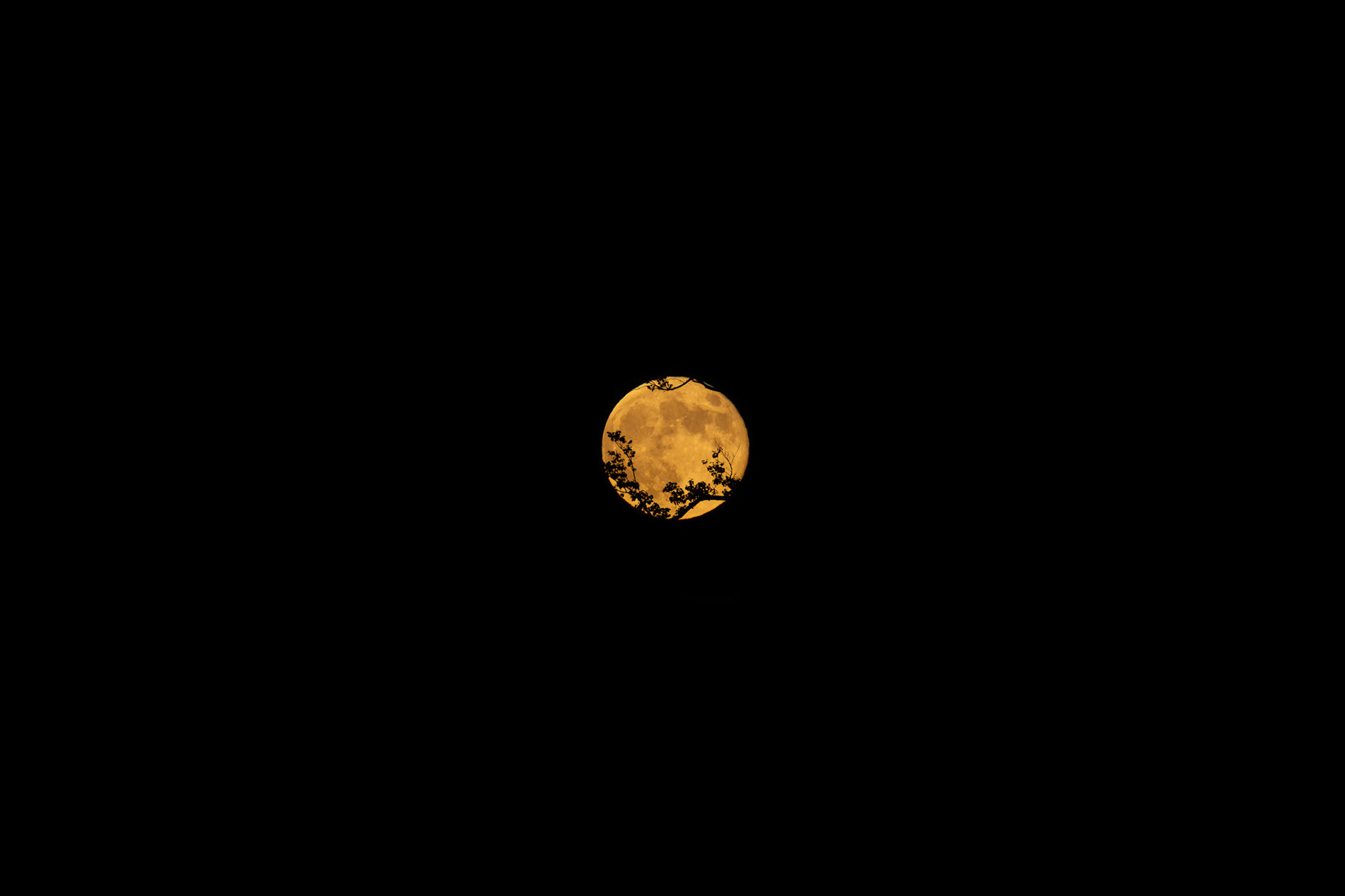 Luna vista desde Washington D.C.