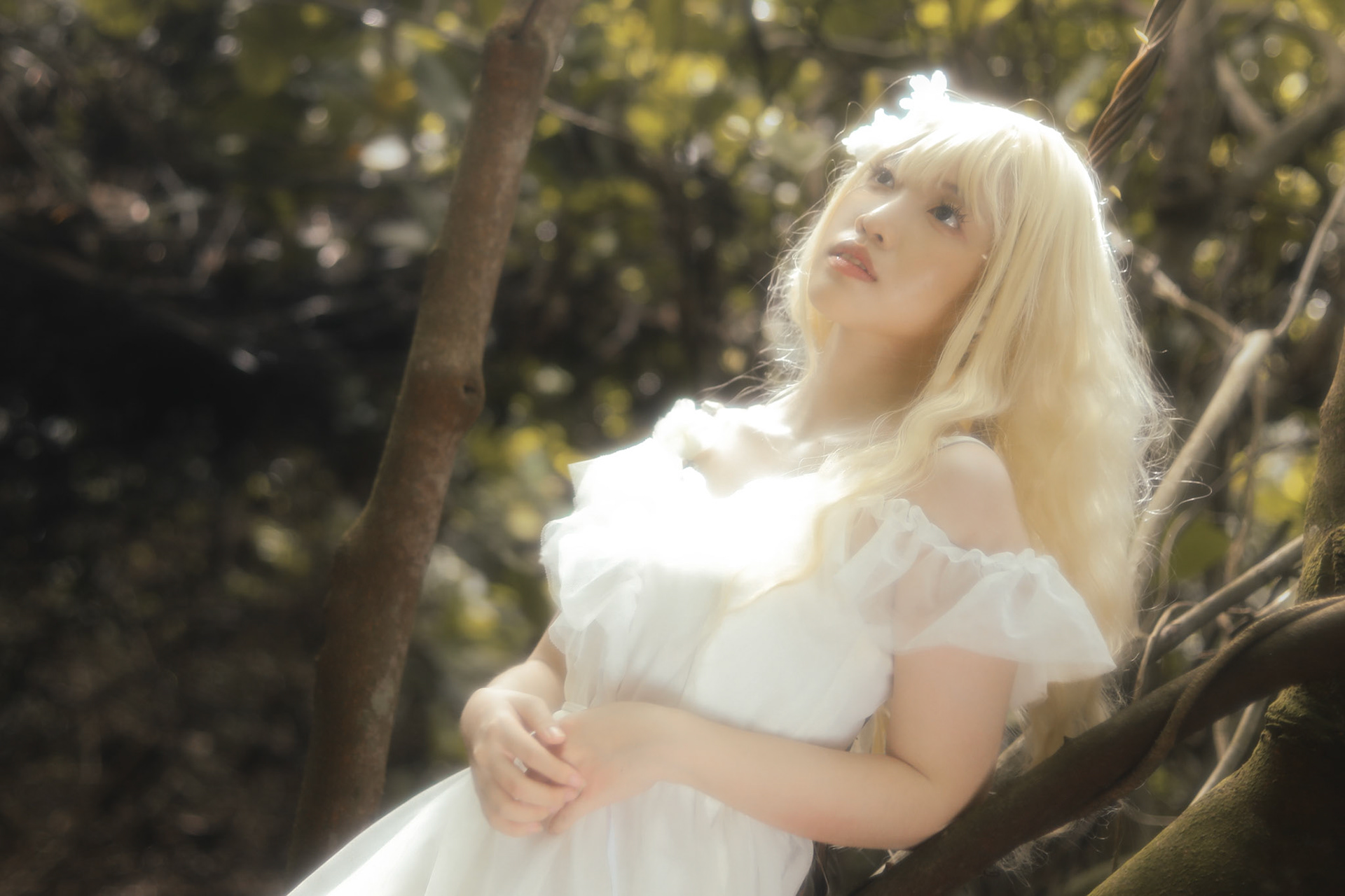 Gaia series