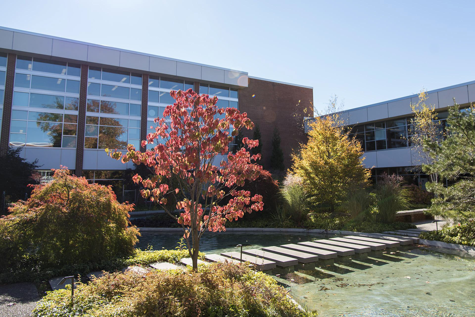 Delta College Central Courtyard in the Spring