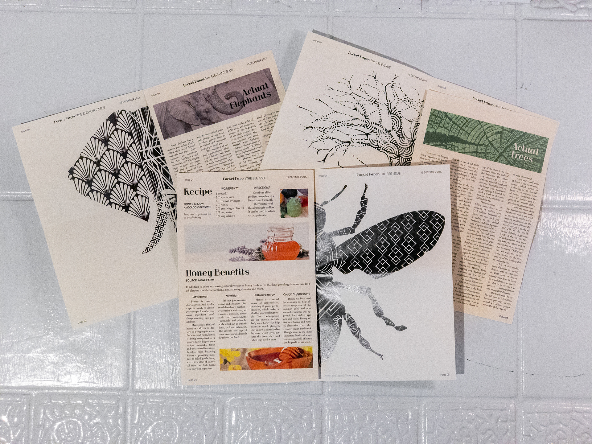 Pocket Papers Interior Spreads