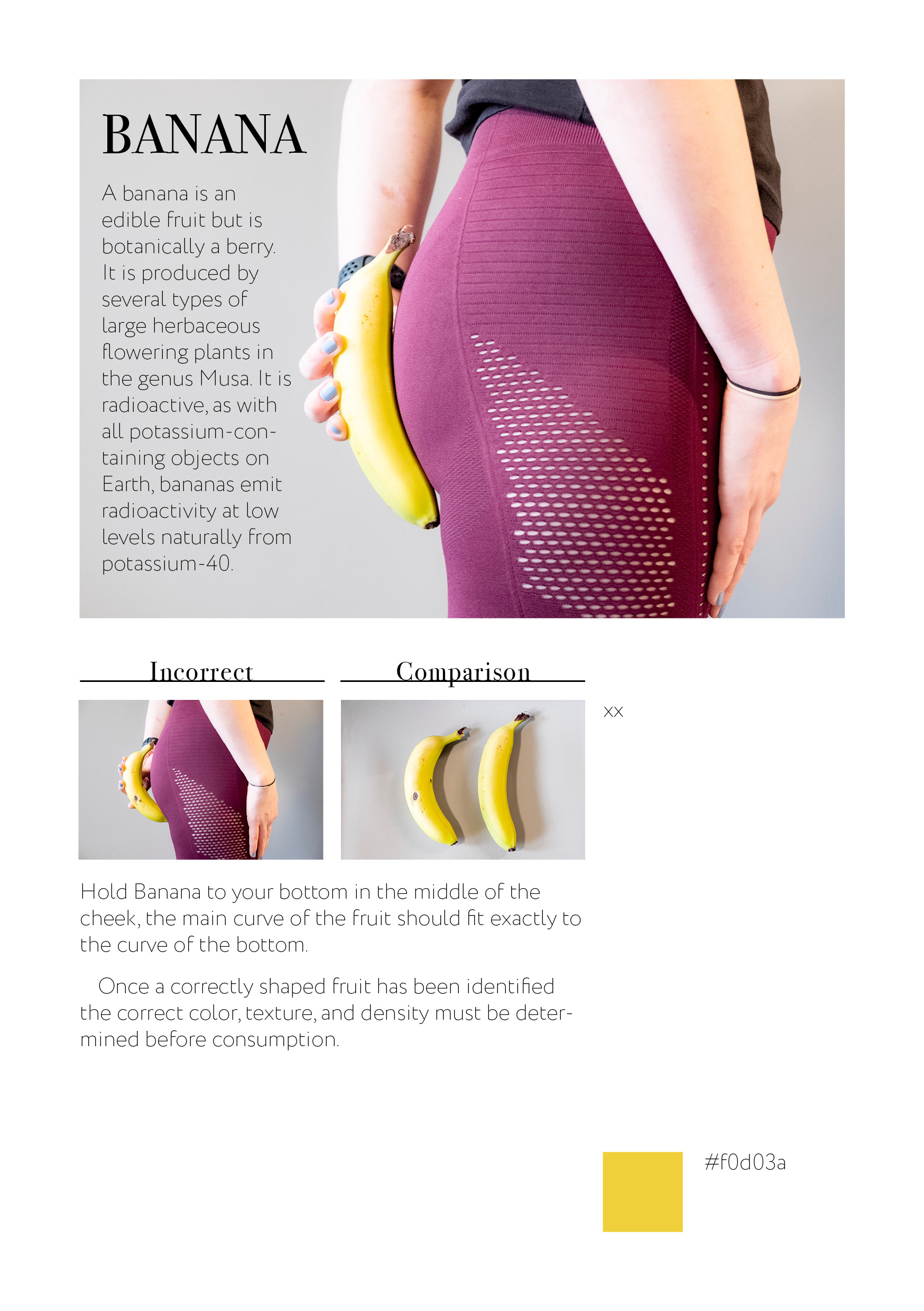 Pata Project Explorations