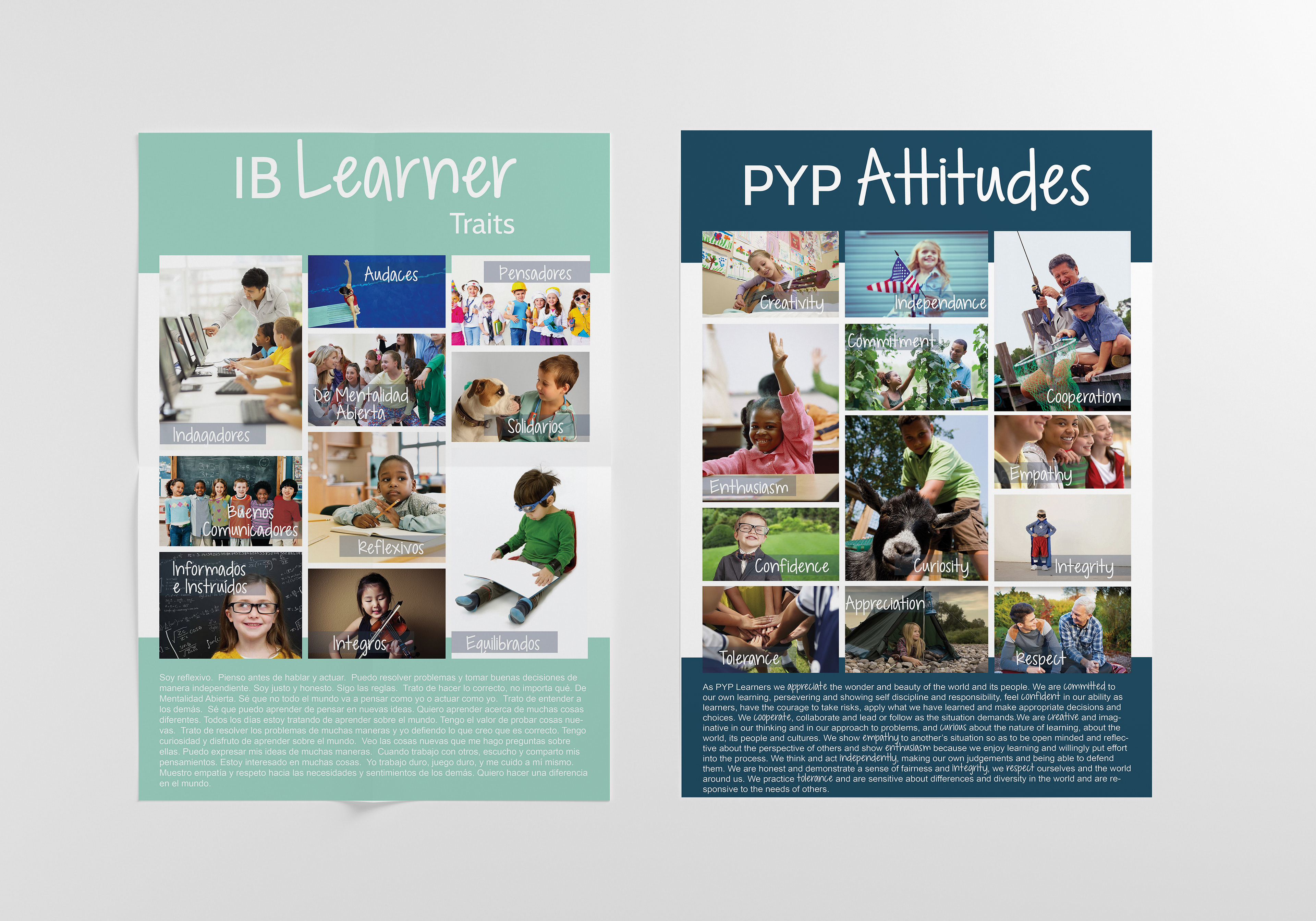 Curriculum Posters