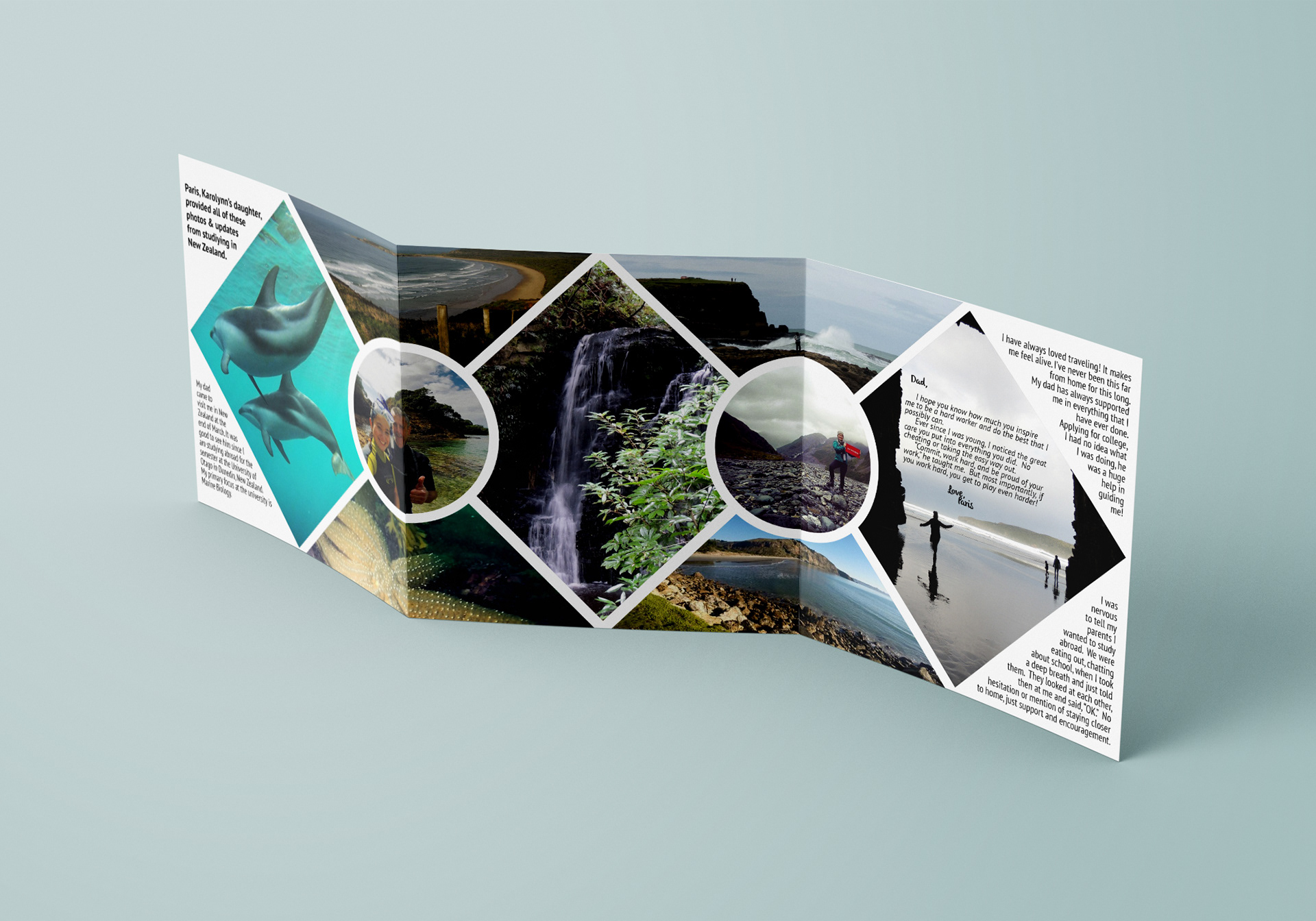 Trifold Marketing Mailer