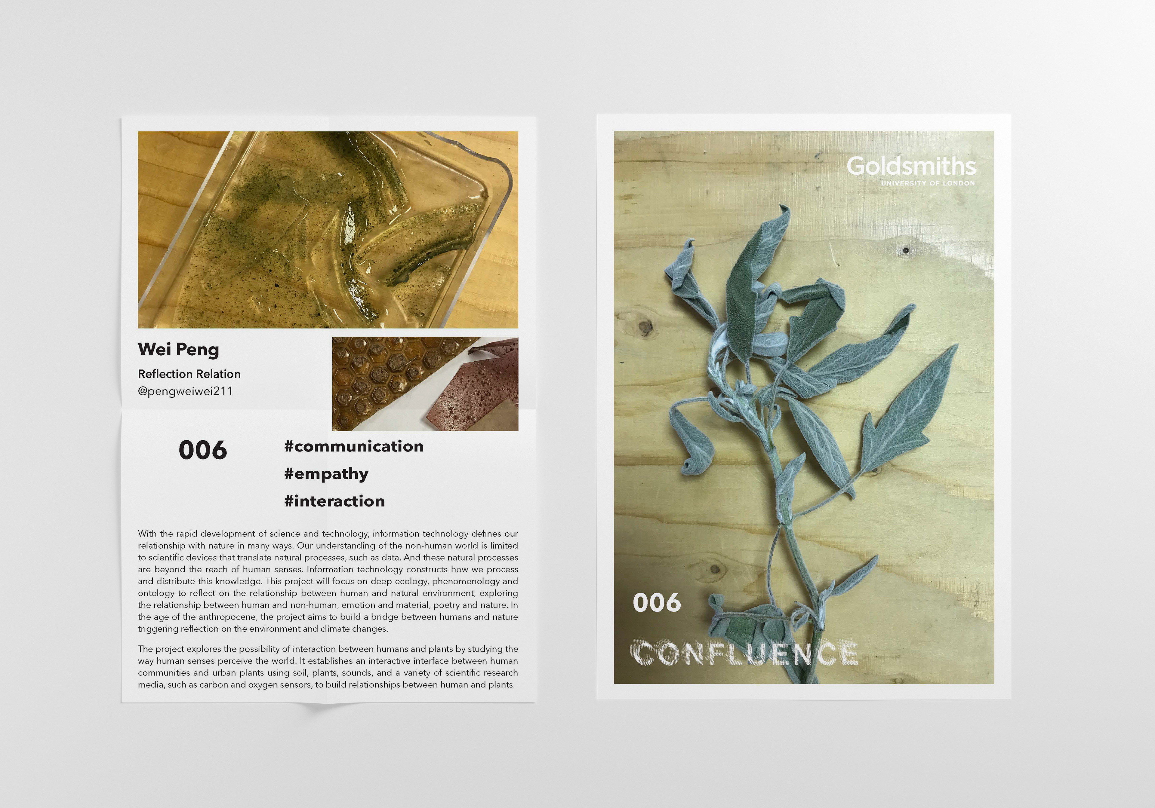 Confluence Catalogue Page 006 Front & Back