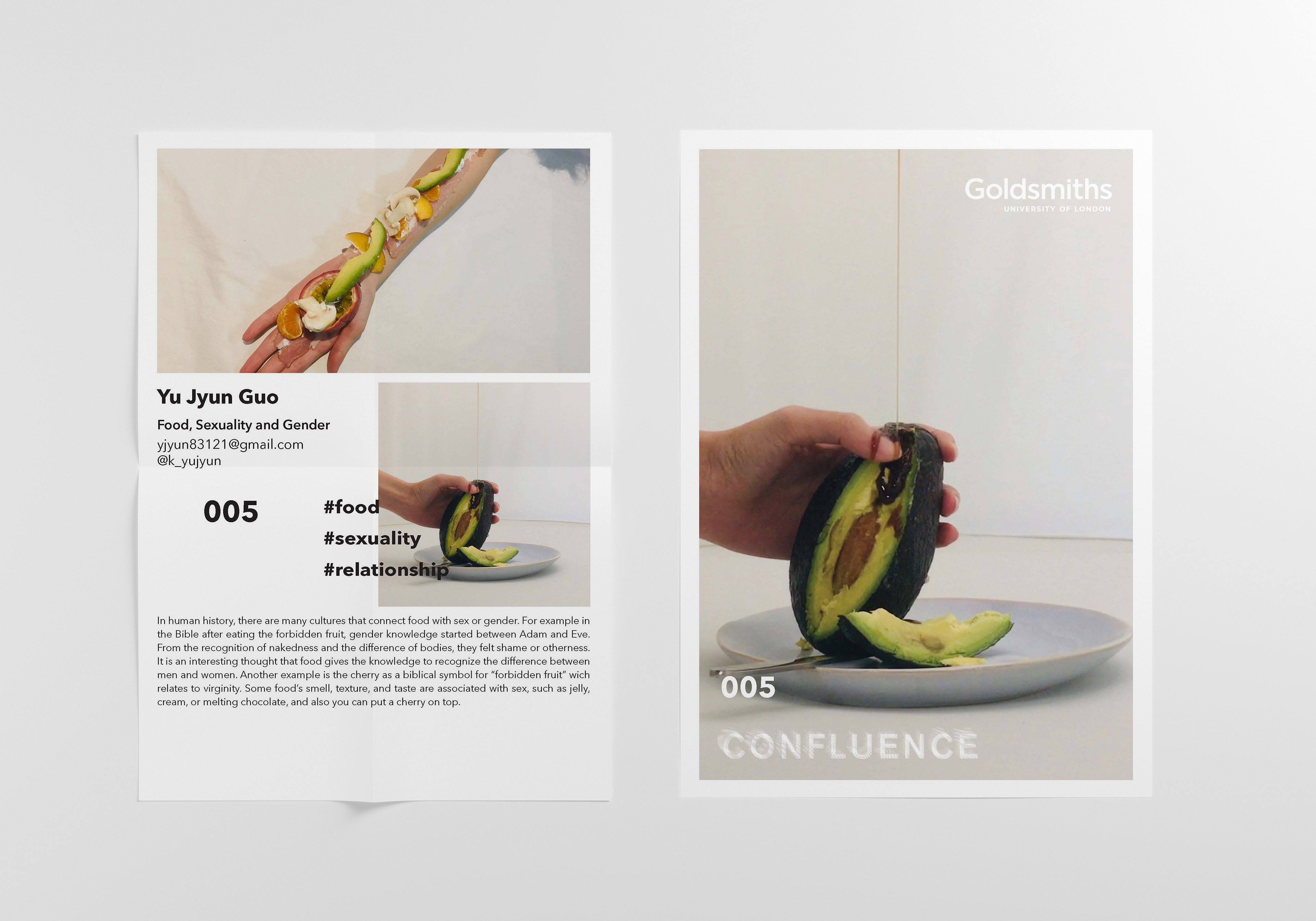 Confluence Catalogue Page 005 Front & Back
