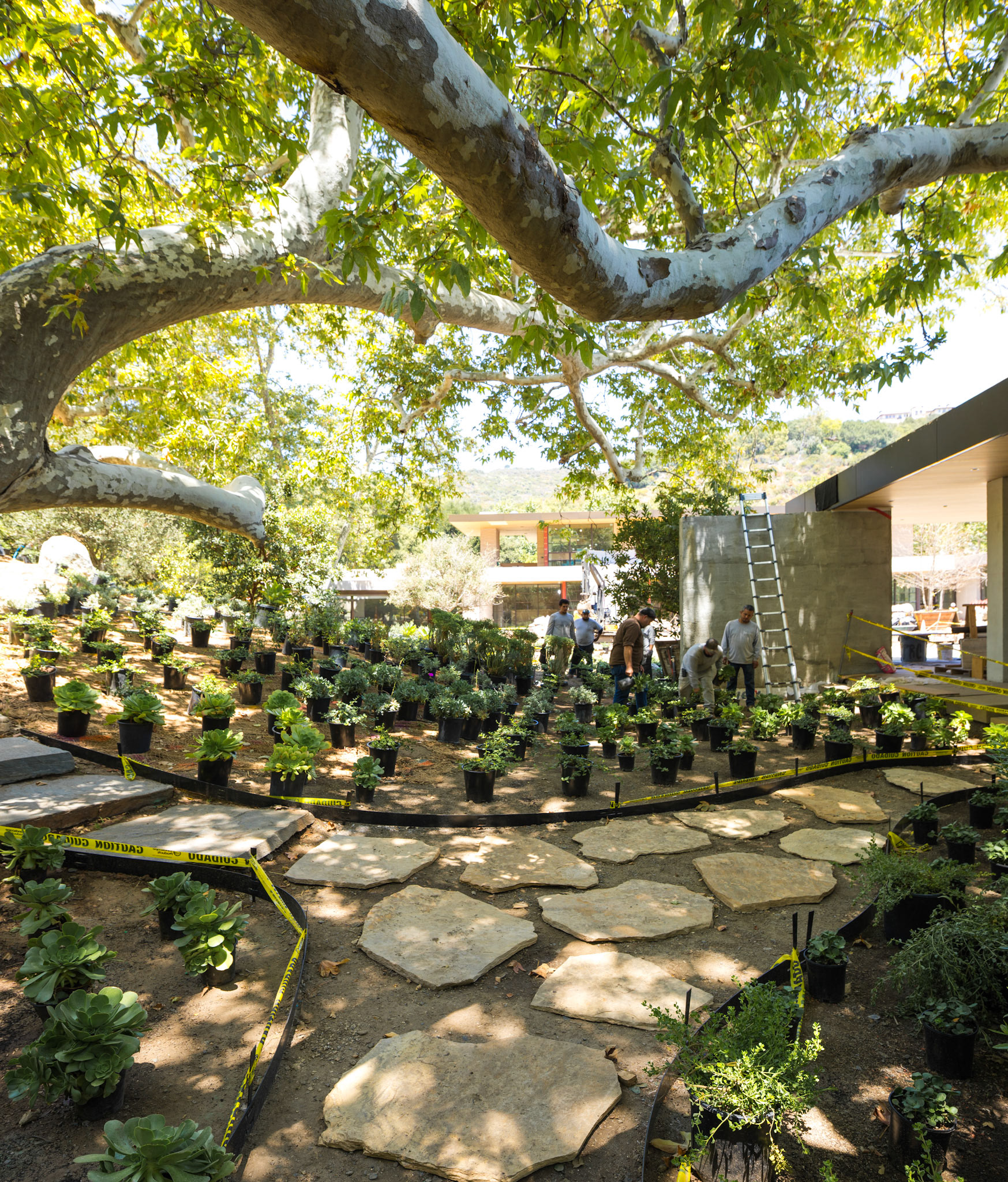 Landscape by Marmol Radziner