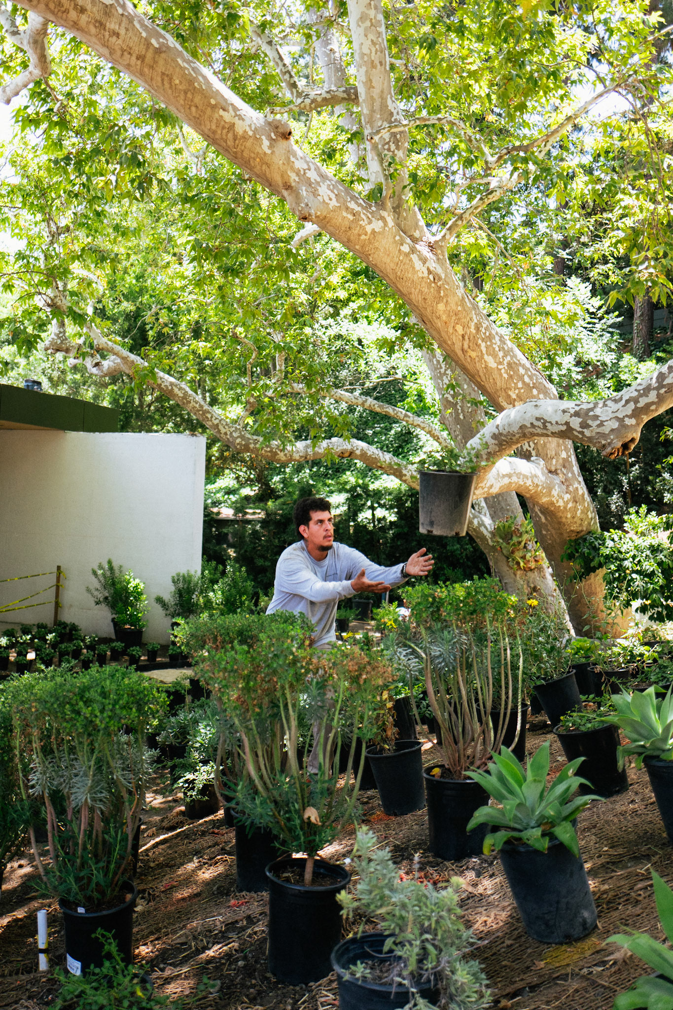 Landscape by Marmol Radziner