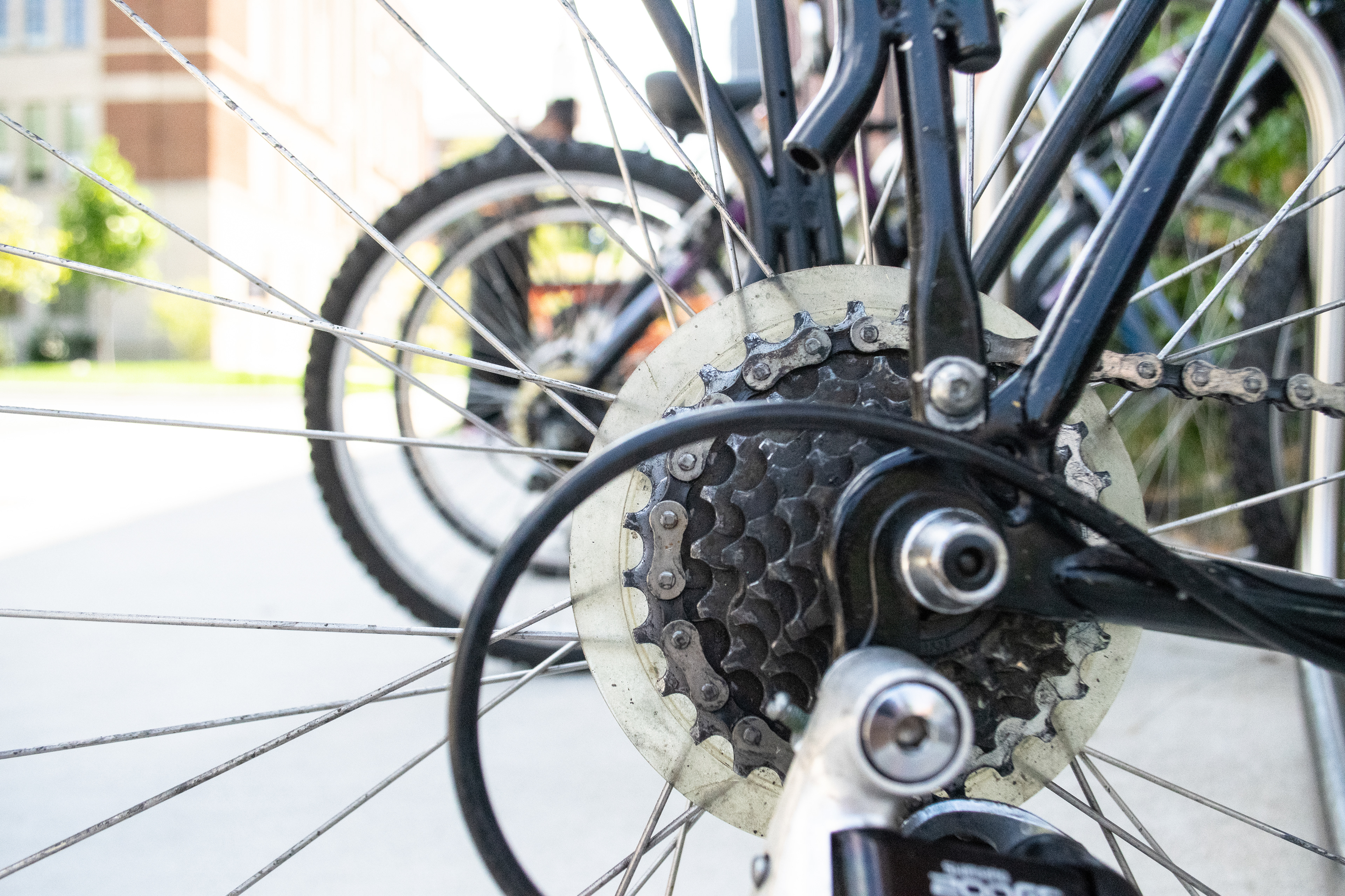 Photo Walk - Bike Gears