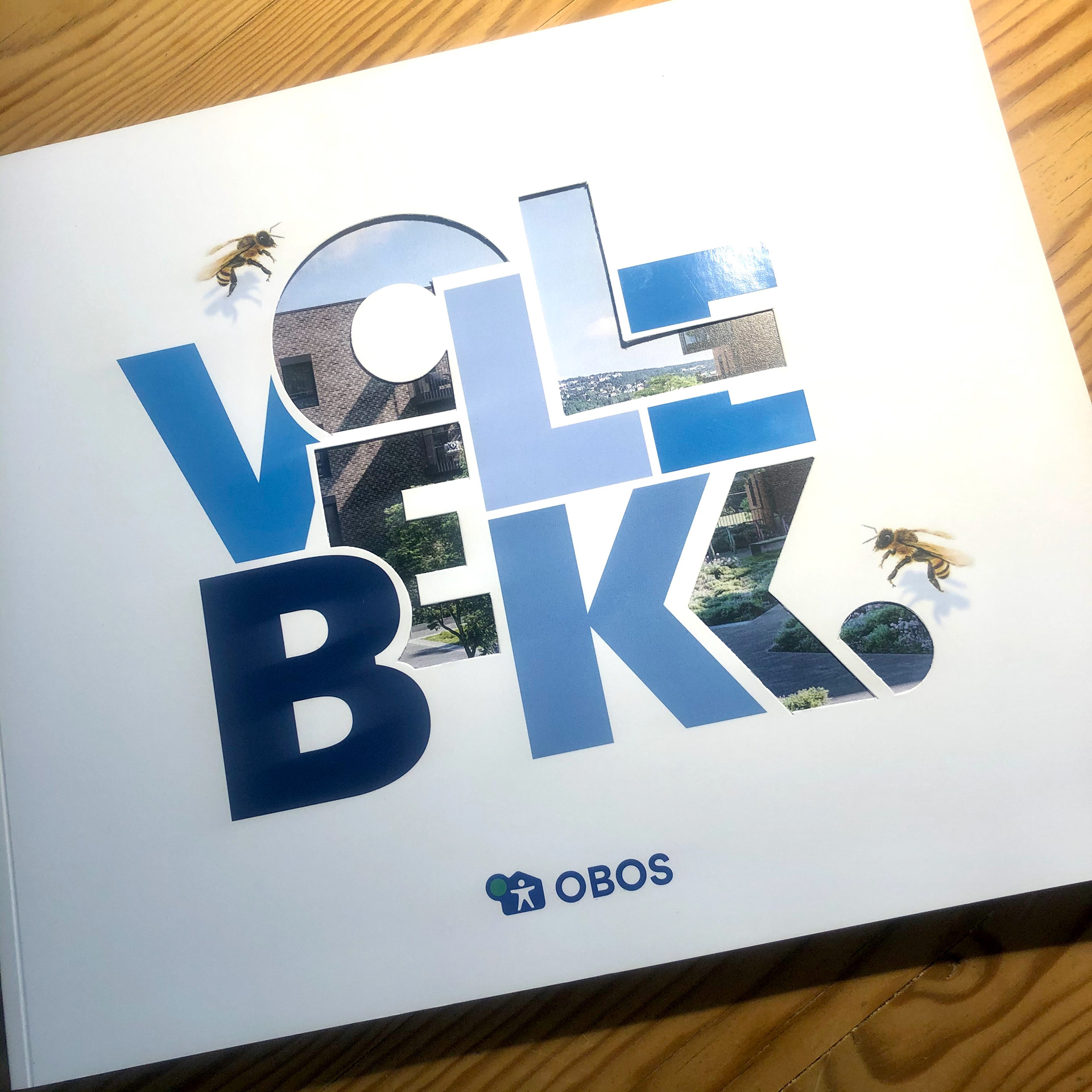 Her er bien brukt på prospektet til Bien Borettslag