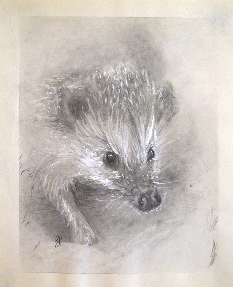 "Jeffrey the Hedgehog"  Pencil, graphite powder and acrylic marker on paper.