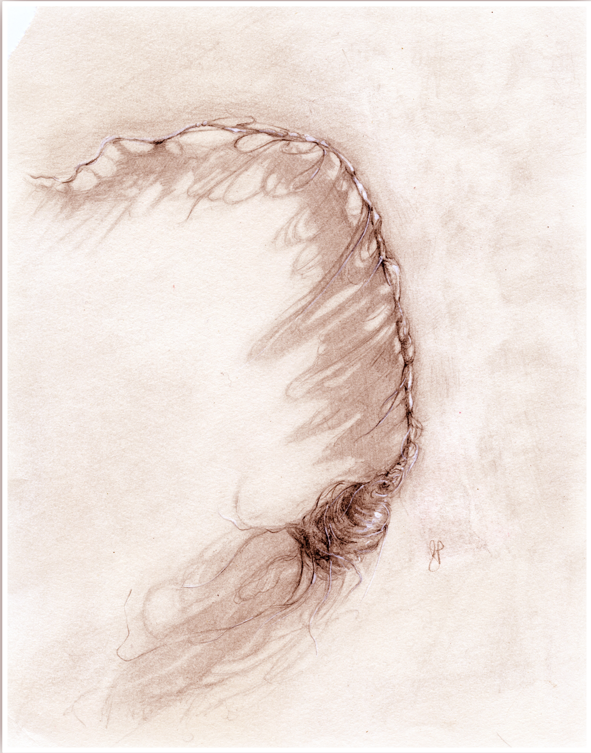 "Clog in the Drain" Pencil and gouche on paper.