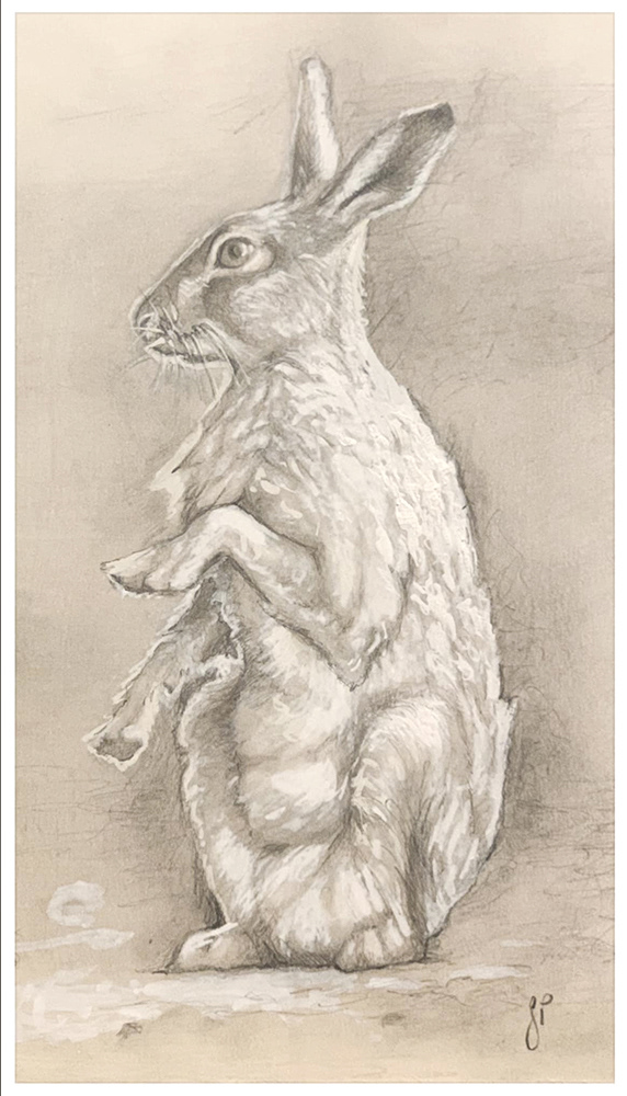 "Rabbit"  Pencil, graphite powder and acrylic marker. on paper. 