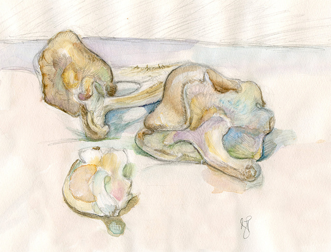 "Mushrooms"  Watercolor on paper.