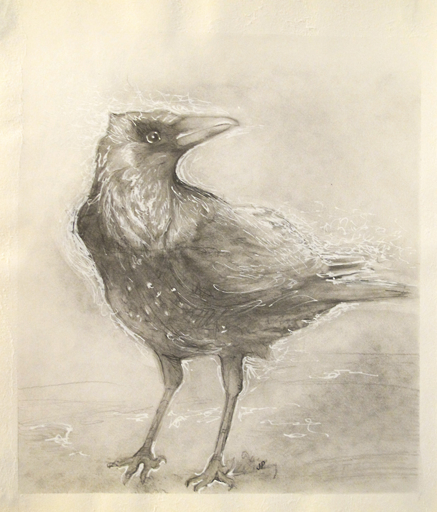 "Crow"  Pencil, graphite powder and acrylic marker on paper.
