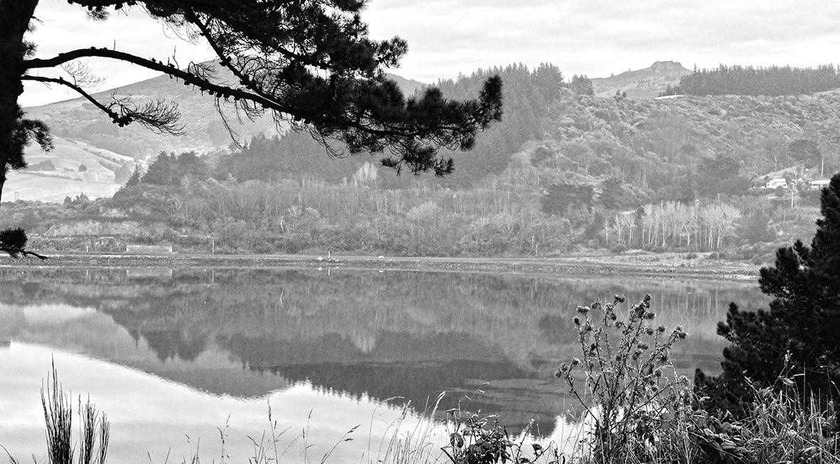 Reflections