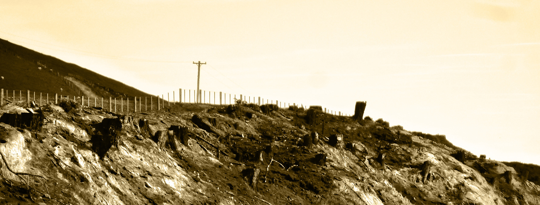 Burnt Hill
