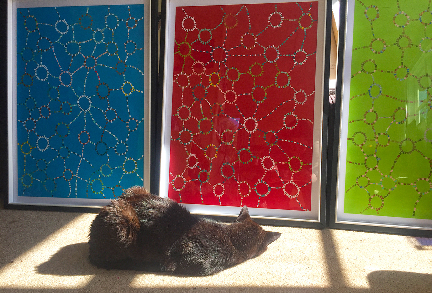 Mr Smooth relaxing in front of work framed for an exhibition 