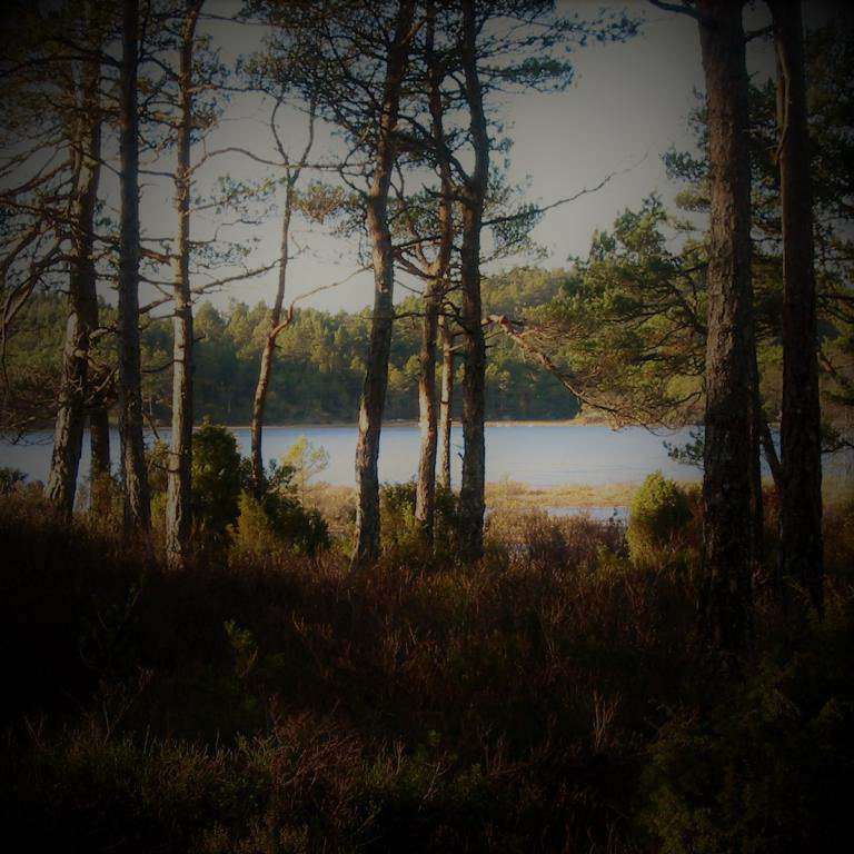 Fatlandsvatnet er ei perle midt i eigedommen.