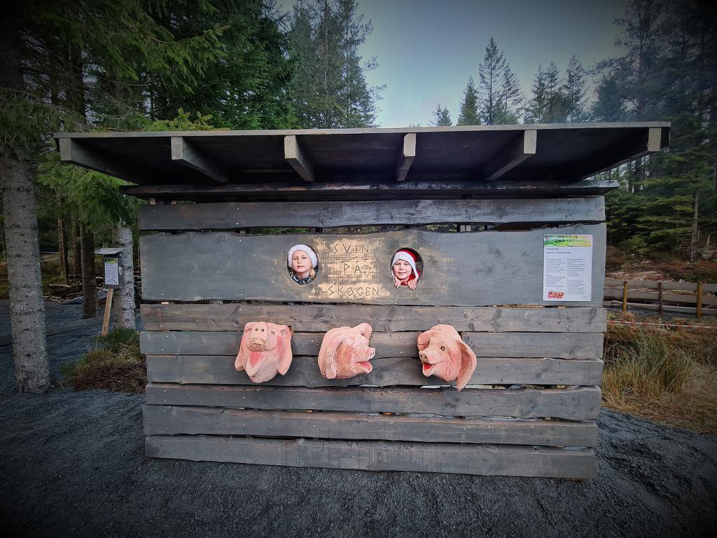 E2: Dette opplegget er kalla Svin på skogen. Det er perfekt viss du vil laga deg eit originalt julekort.
