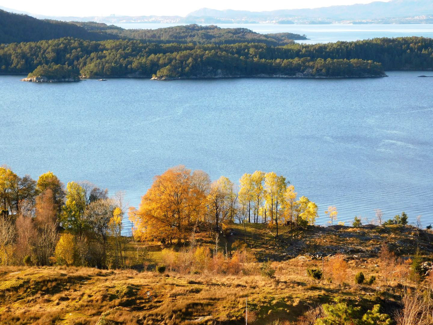 Nedste delen av eigedommen heiter naturleg nok Nerebøen. Dette området har potensiale på mange område, det er bortimot 40 dekar, frå hovudvegen og ned til sjøen.