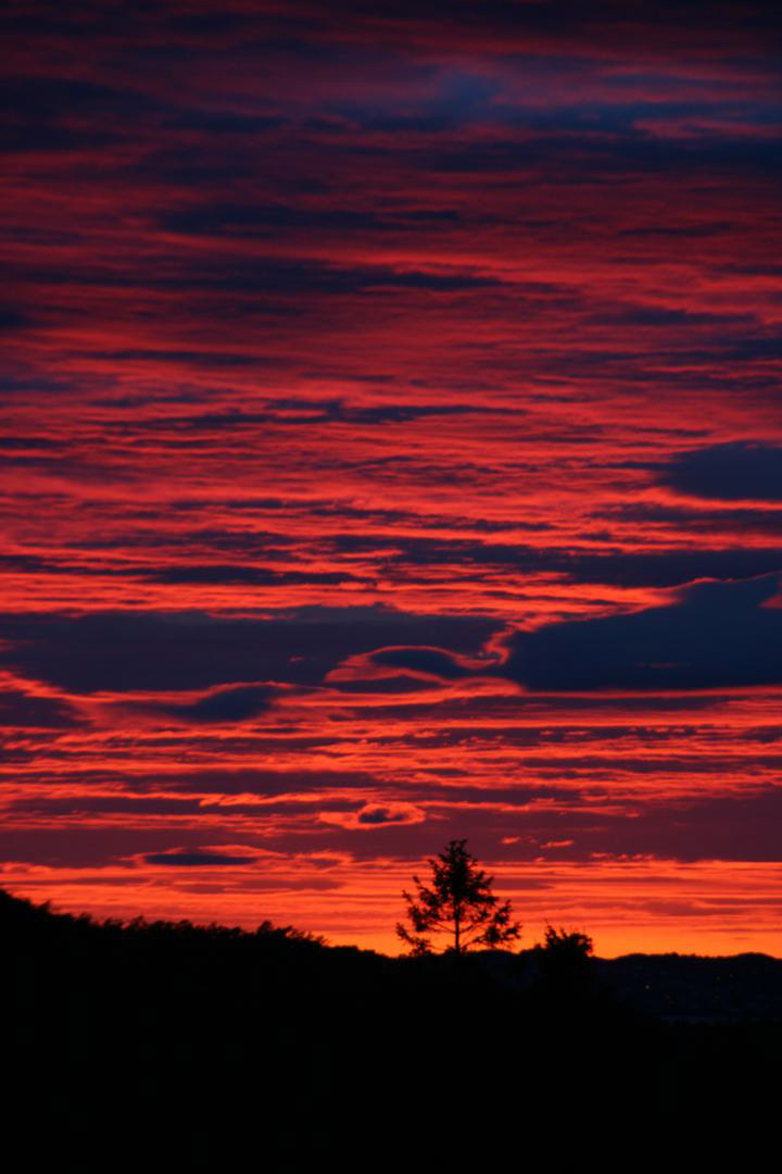 Og dagen sluttar gjerne sånn om våren.