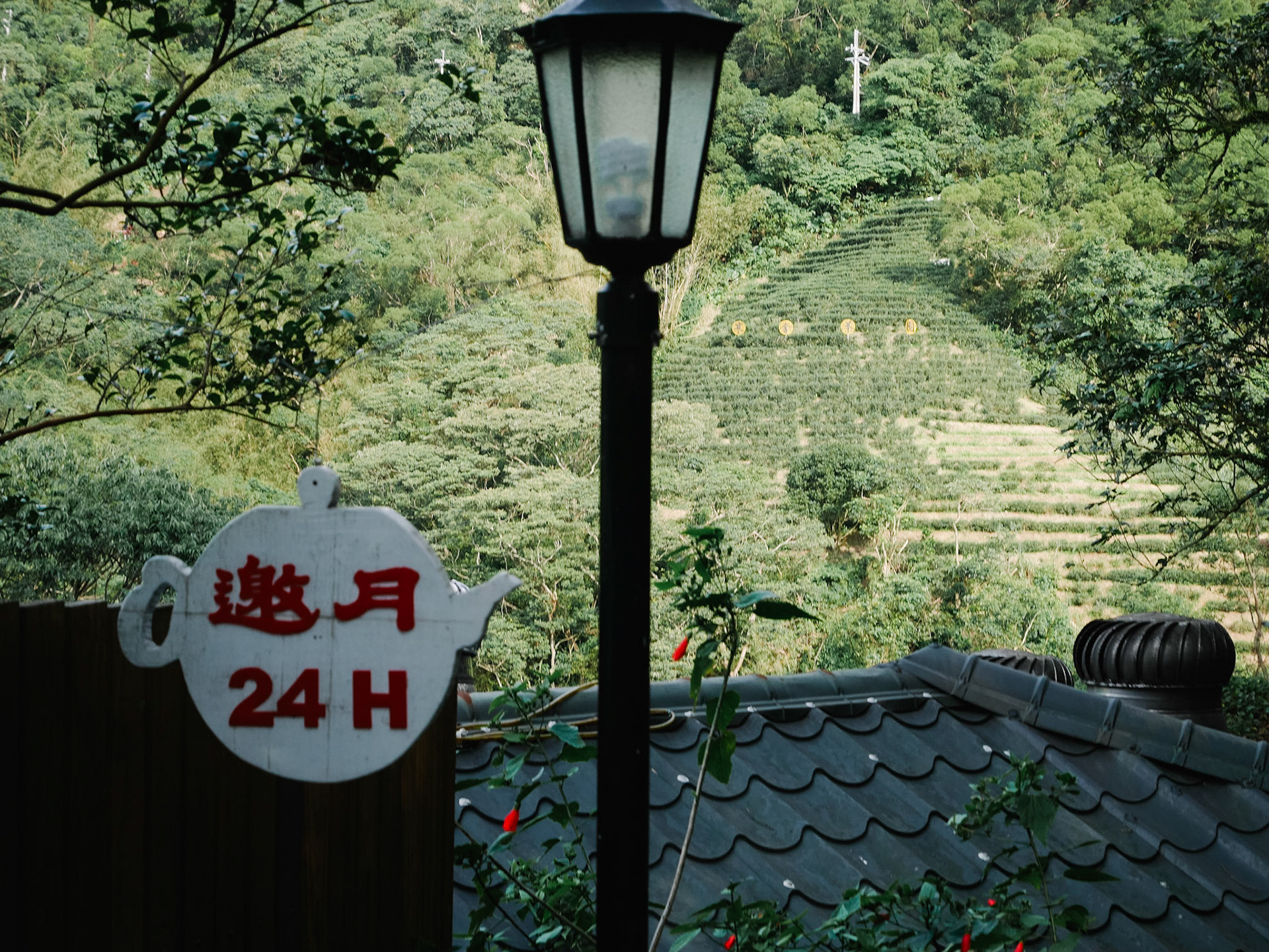 La YaoYue tea house est ouverte 24/24 !