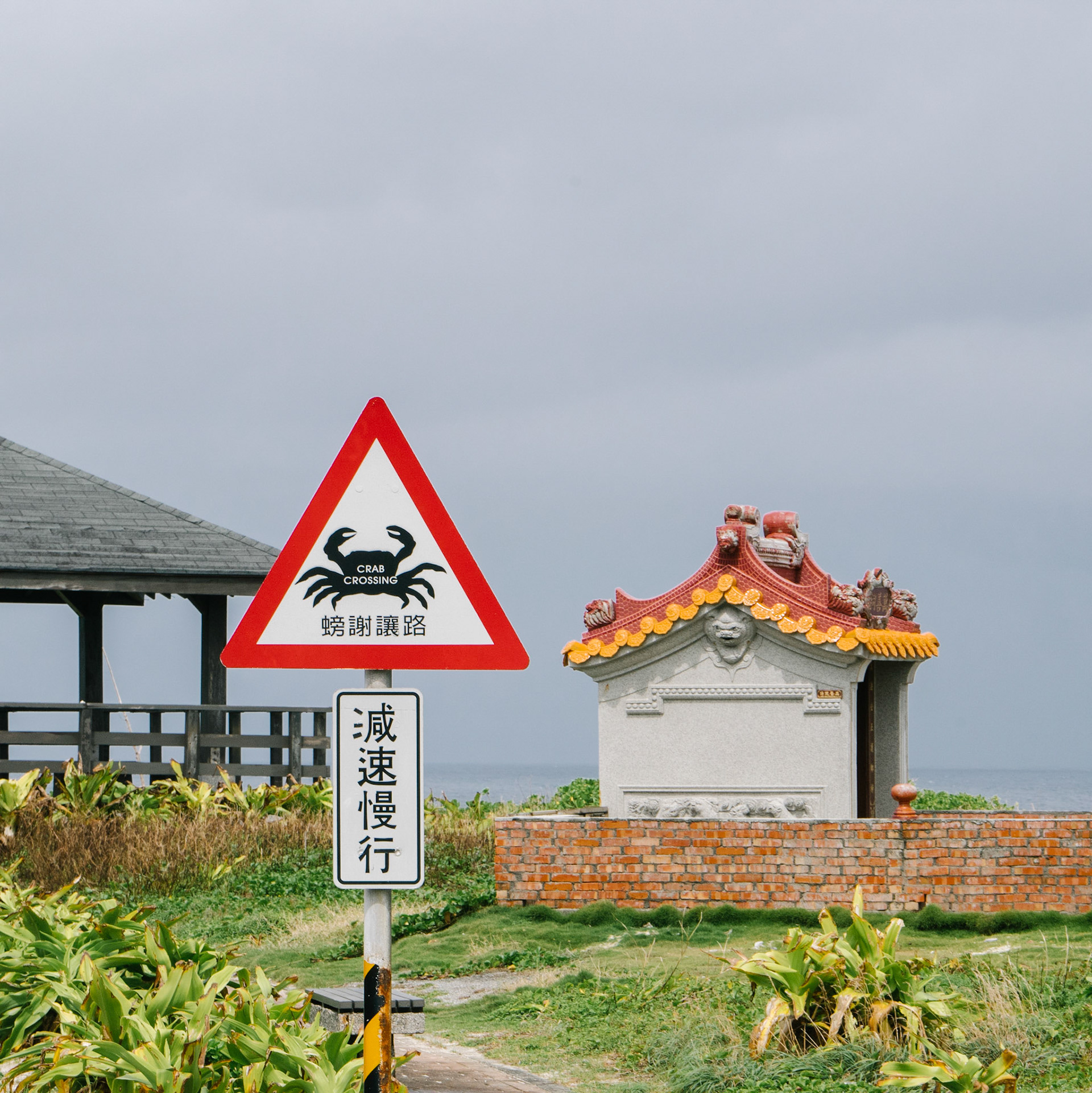 Attention aux crabes, ils crèvent les roues de scooter !