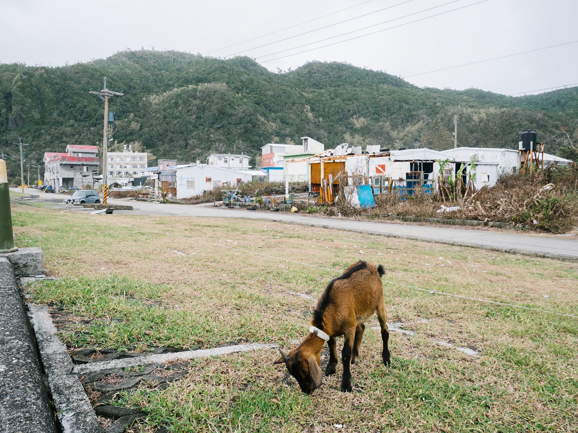 Les typhons avaient bien frappé la côte est.